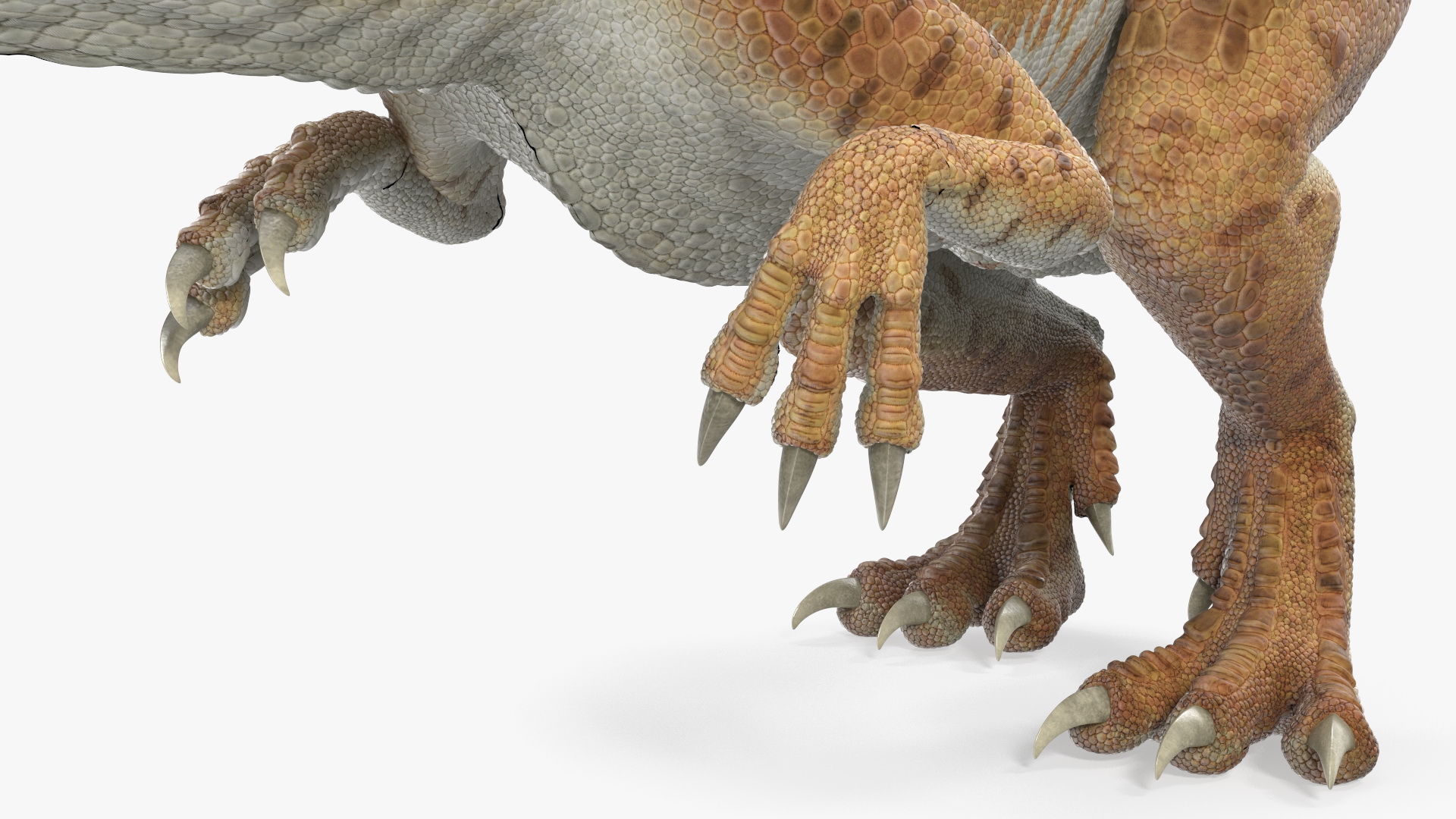 3D Allosaurus Yellow Coloring Rigged model