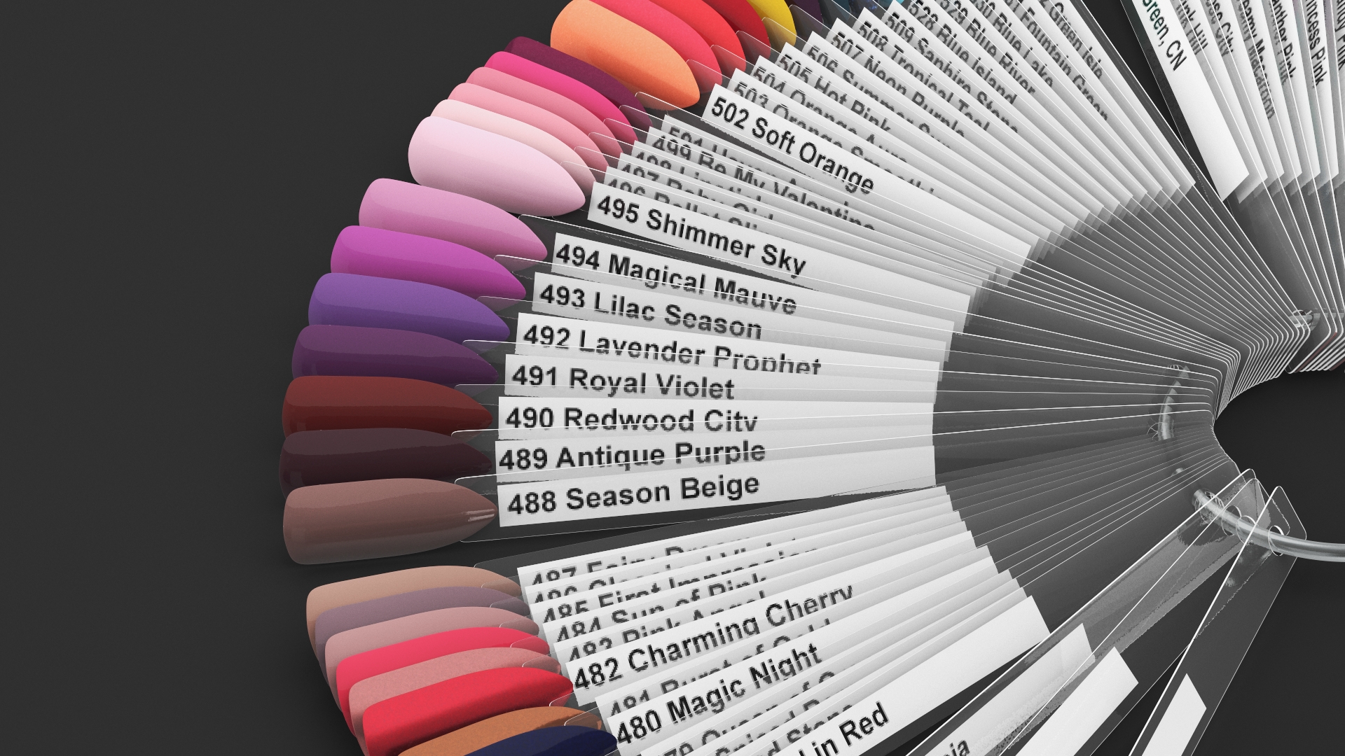 Fan Nail Polish Color Display 3D model