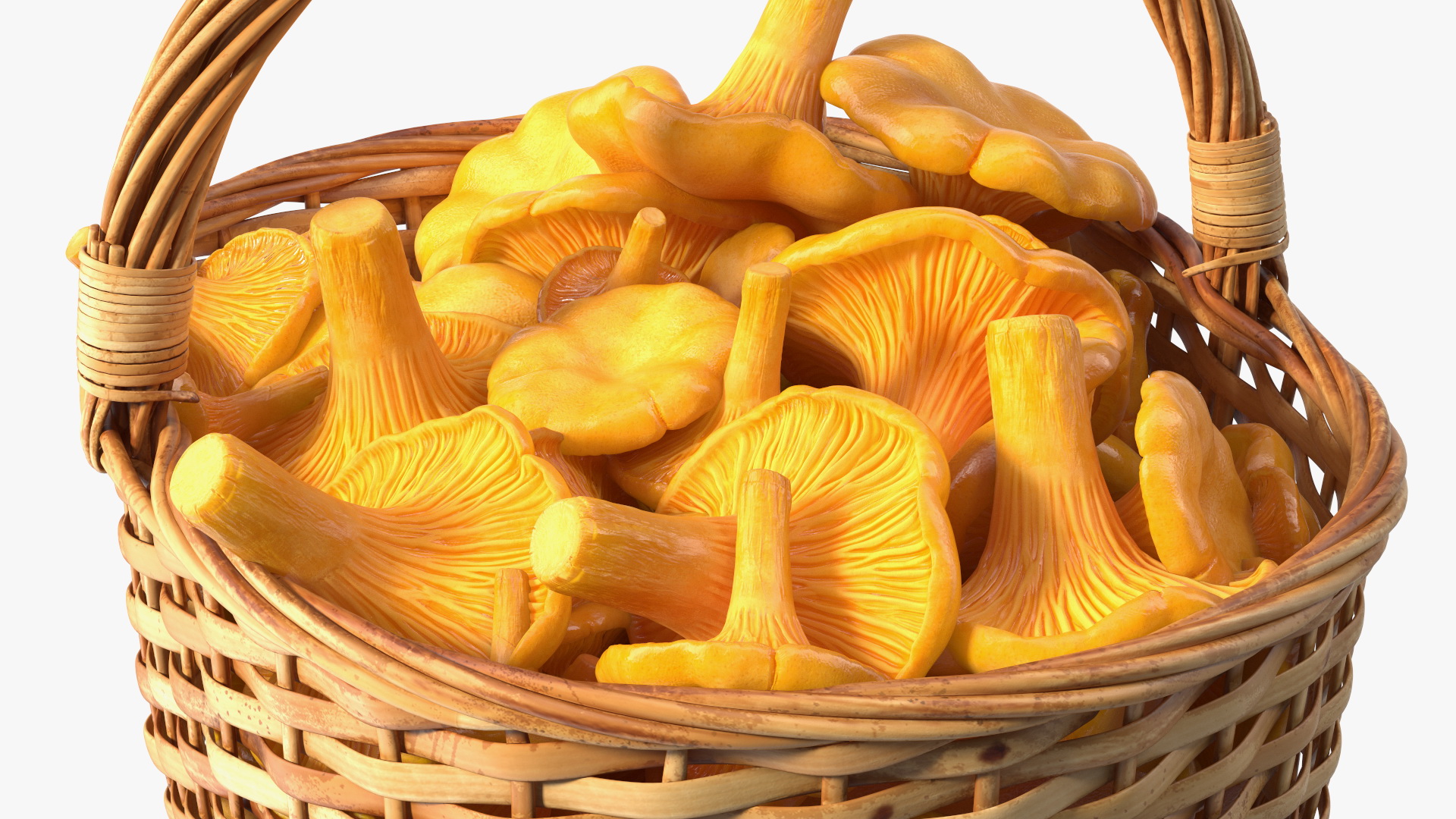 Chanterelle Mushroom Basket 3D