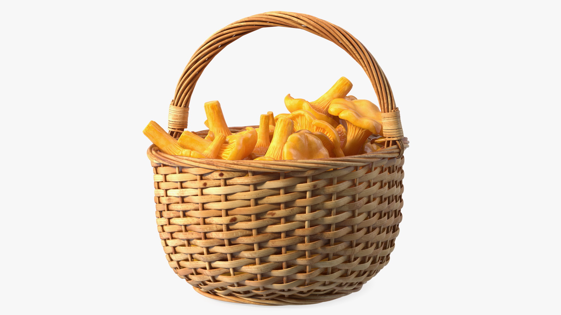 Chanterelle Mushroom Basket 3D