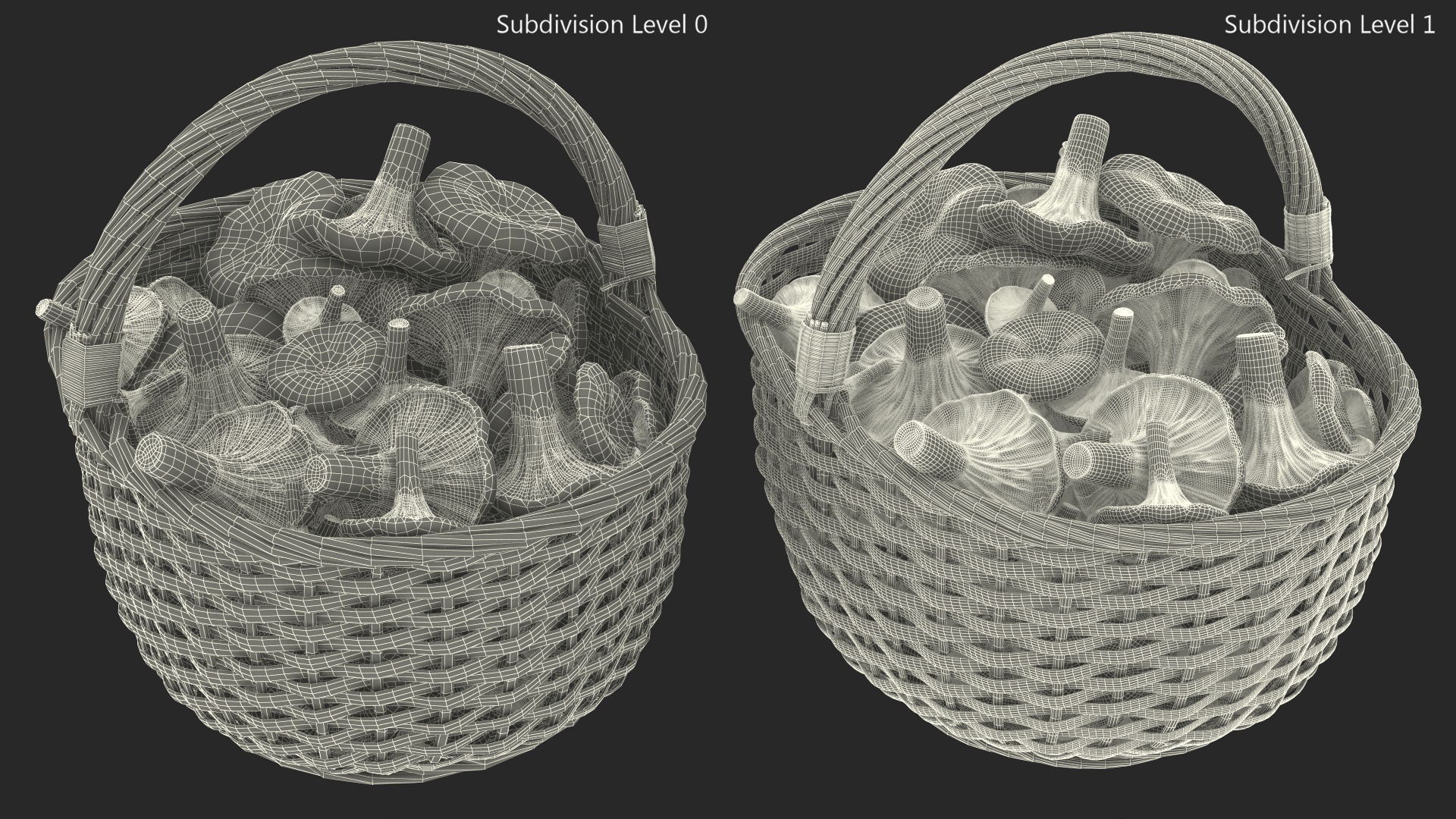 Chanterelle Mushroom Basket 3D