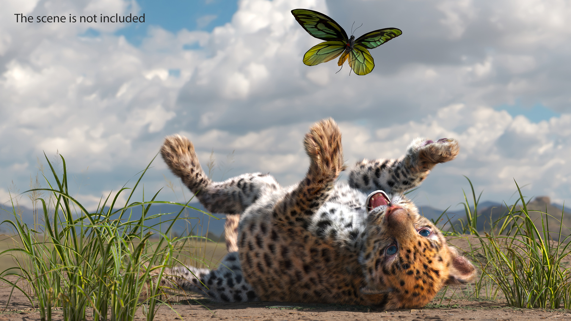 3D Playful Leopard Cub with Butterfly Fur model