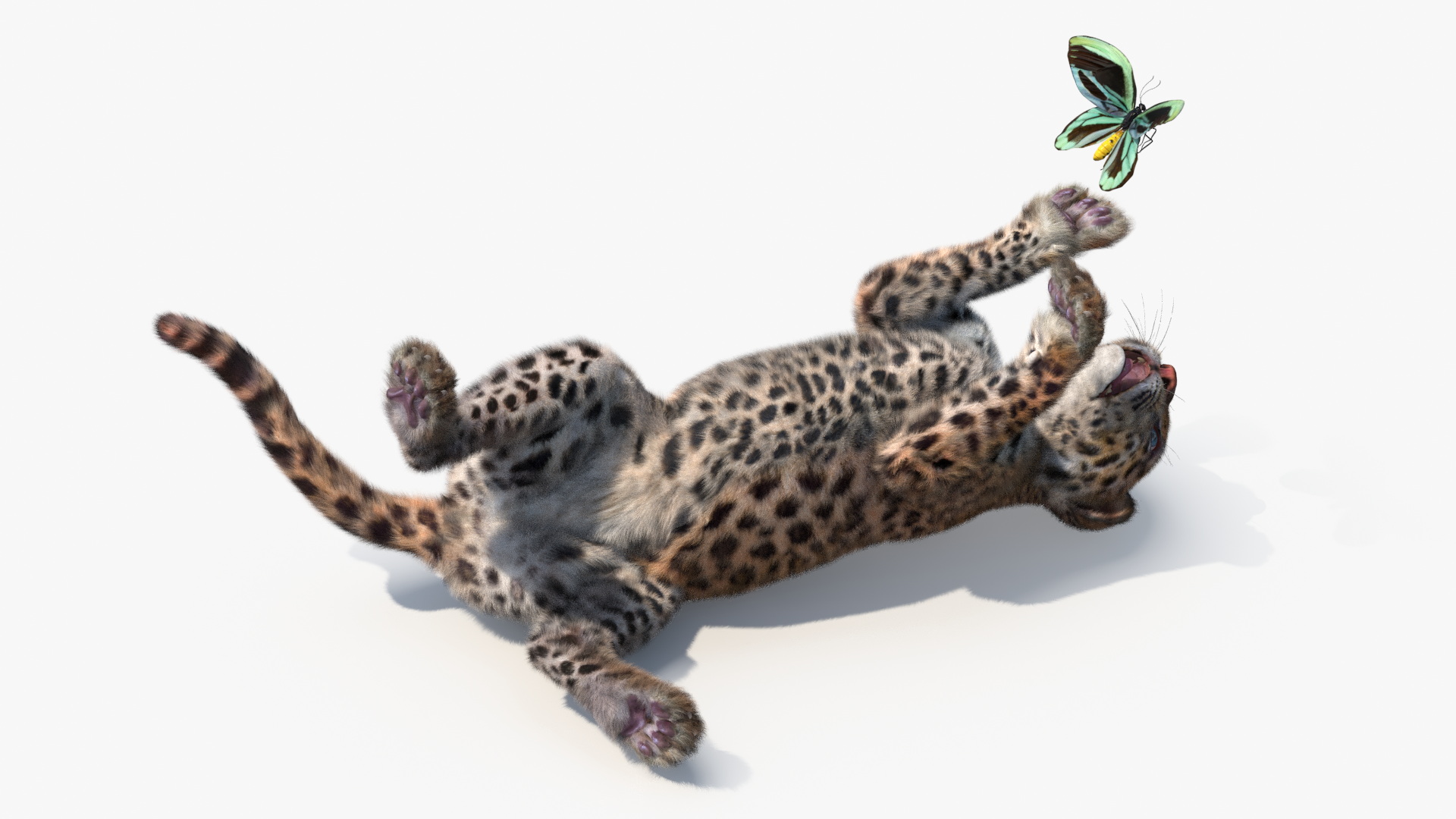 3D Playful Leopard Cub with Butterfly Fur model