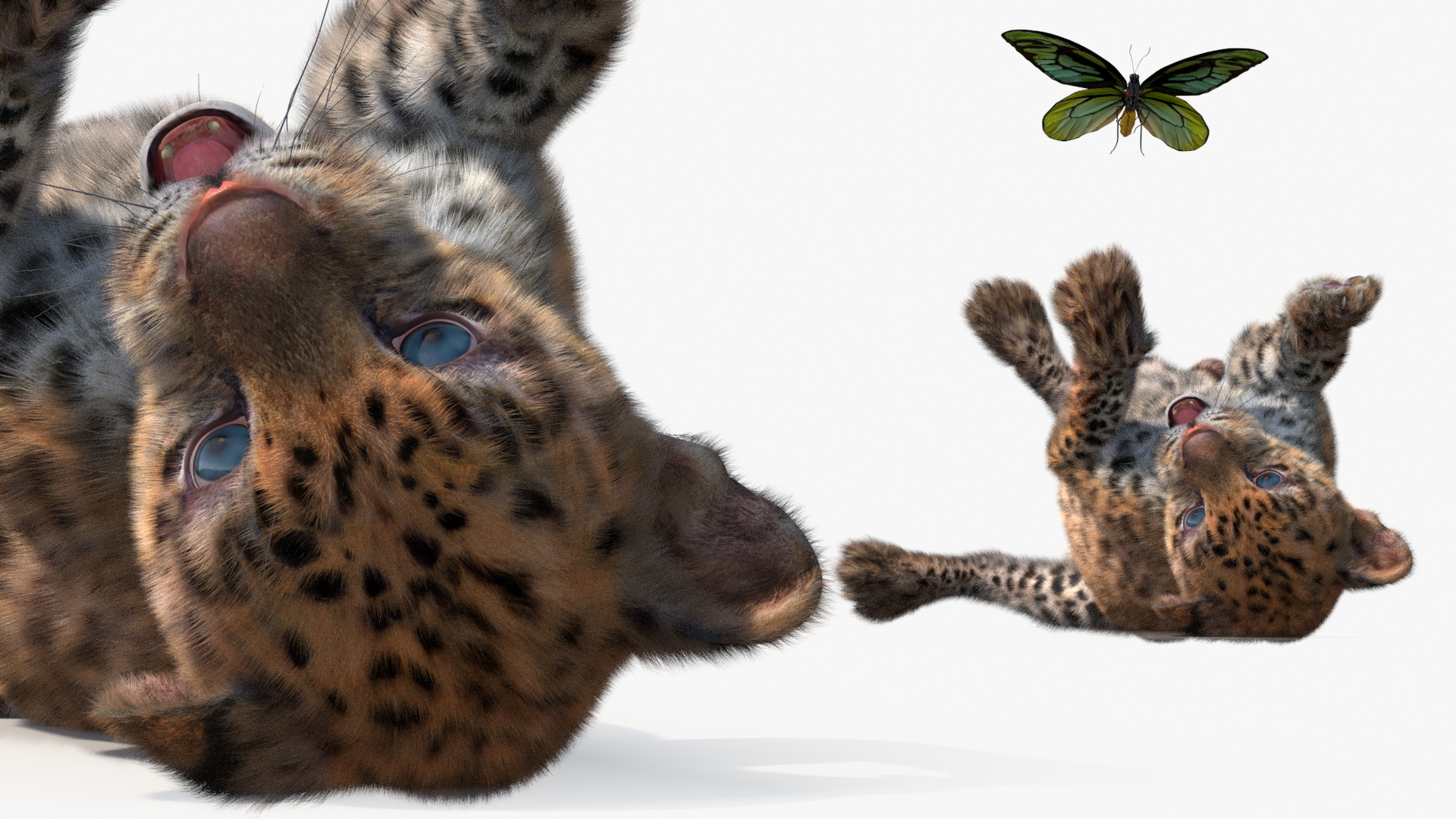 3D Playful Leopard Cub with Butterfly Fur model