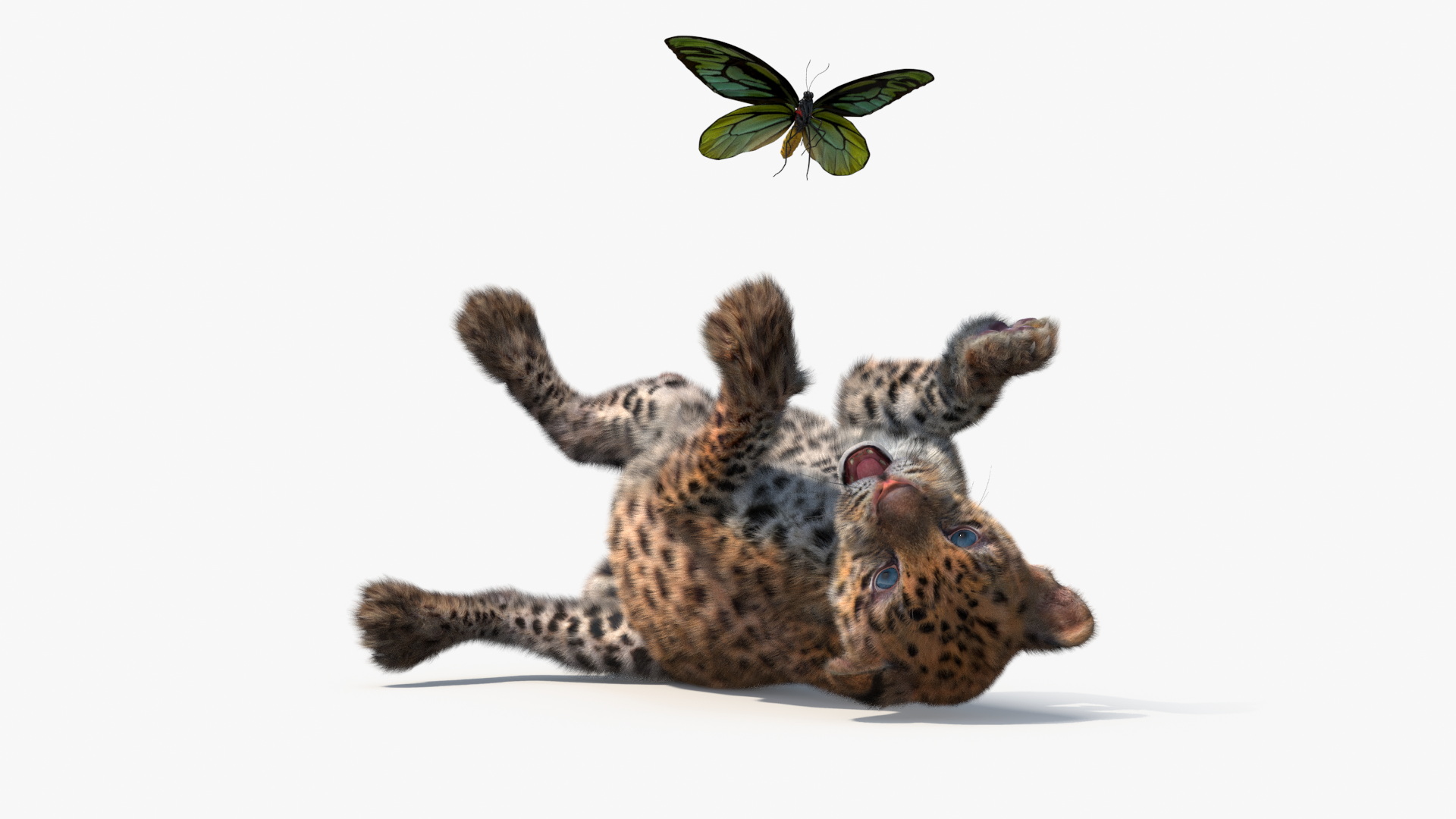 3D Playful Leopard Cub with Butterfly Fur model