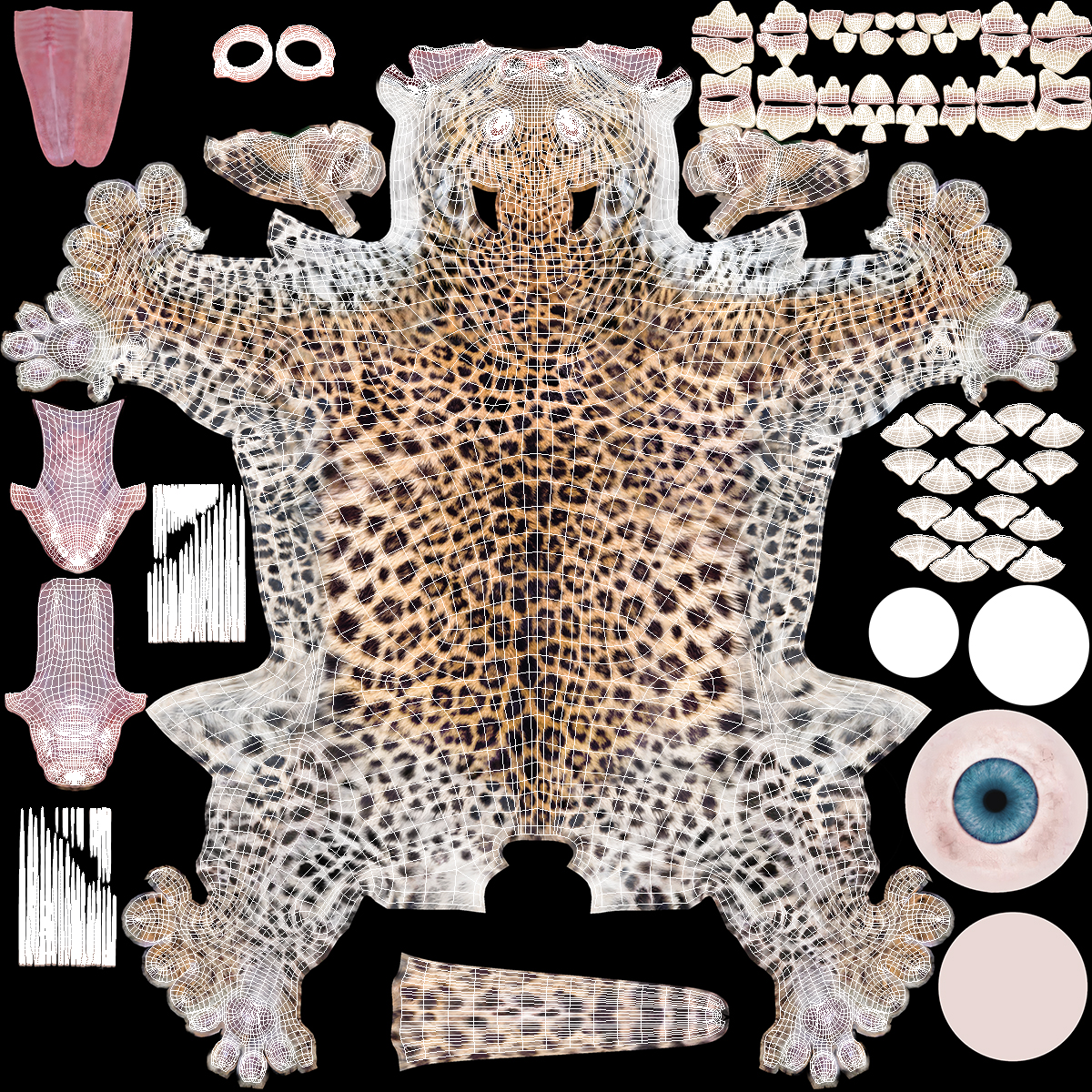 3D Playful Leopard Cub with Butterfly Fur model