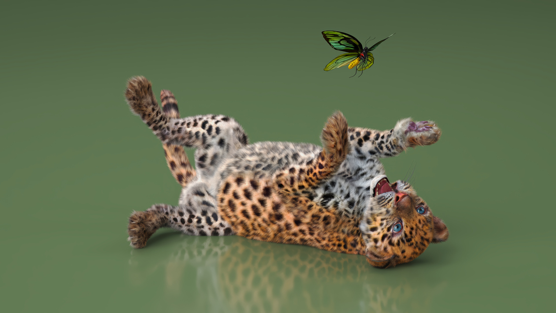 3D Playful Leopard Cub with Butterfly Fur model