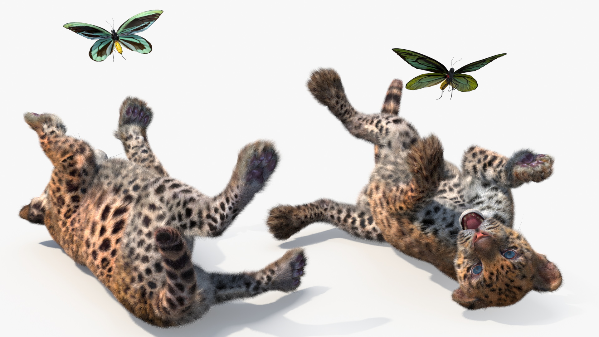 3D Playful Leopard Cub with Butterfly Fur model