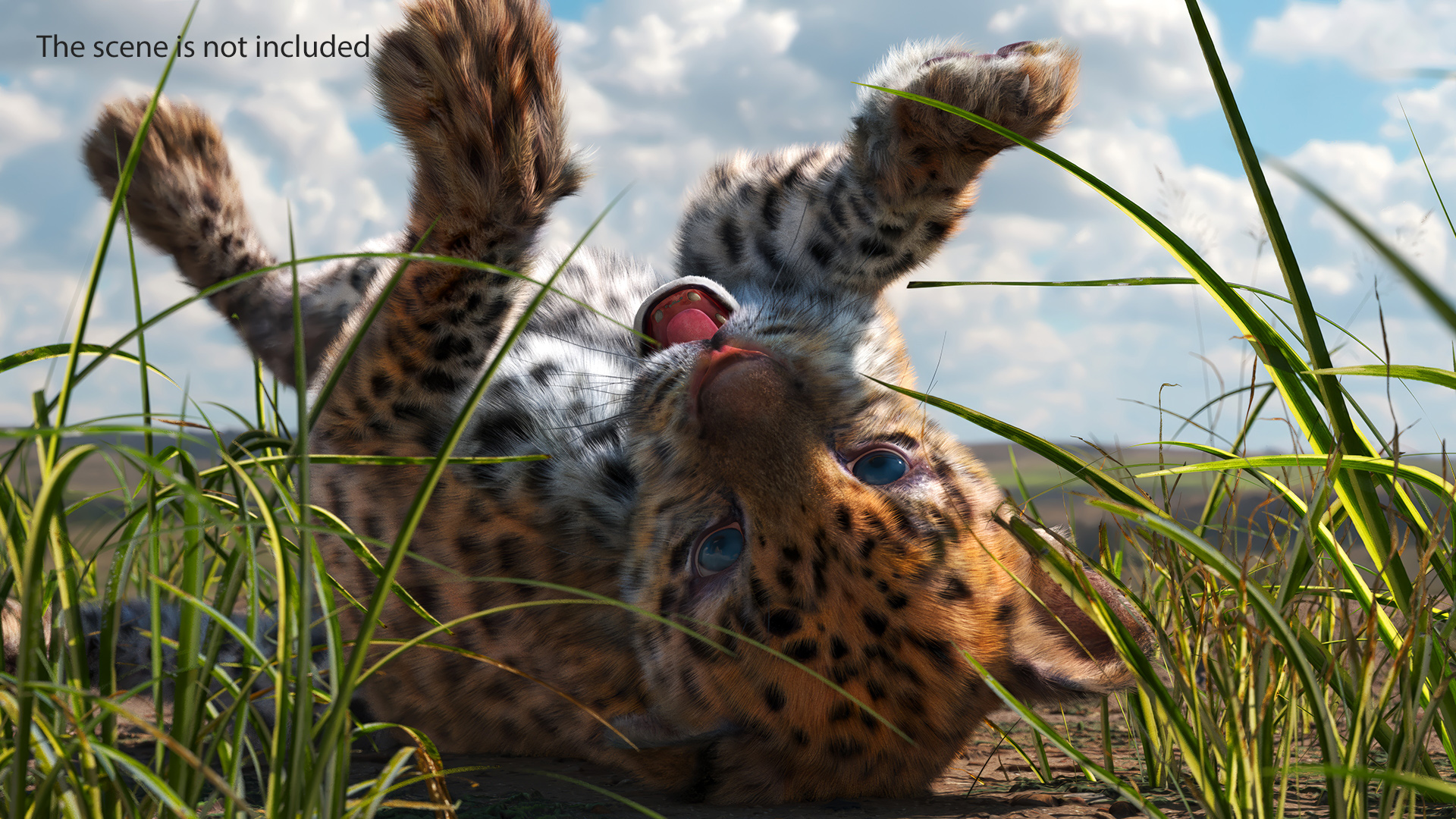 3D Playful Leopard Cub with Butterfly Fur model