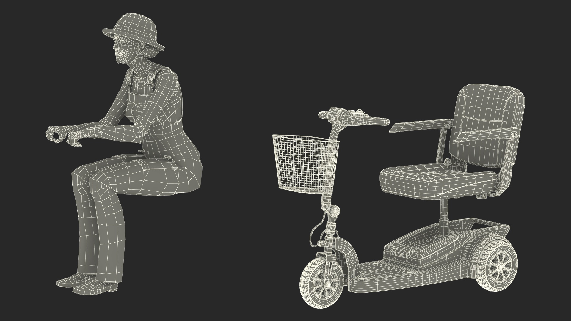 3D Elderly Woman on Electric Wheelchair