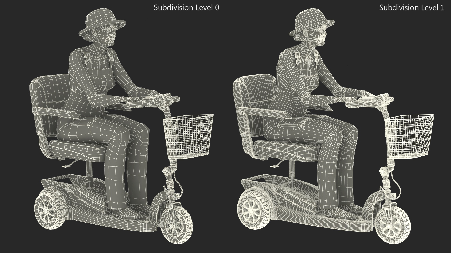 3D Elderly Woman on Electric Wheelchair