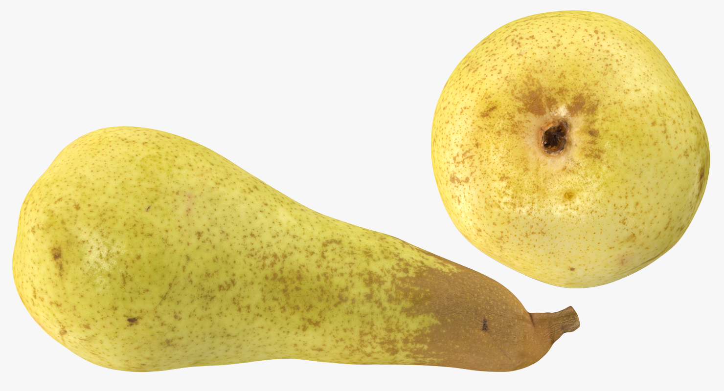 3D Long Yellow Pear