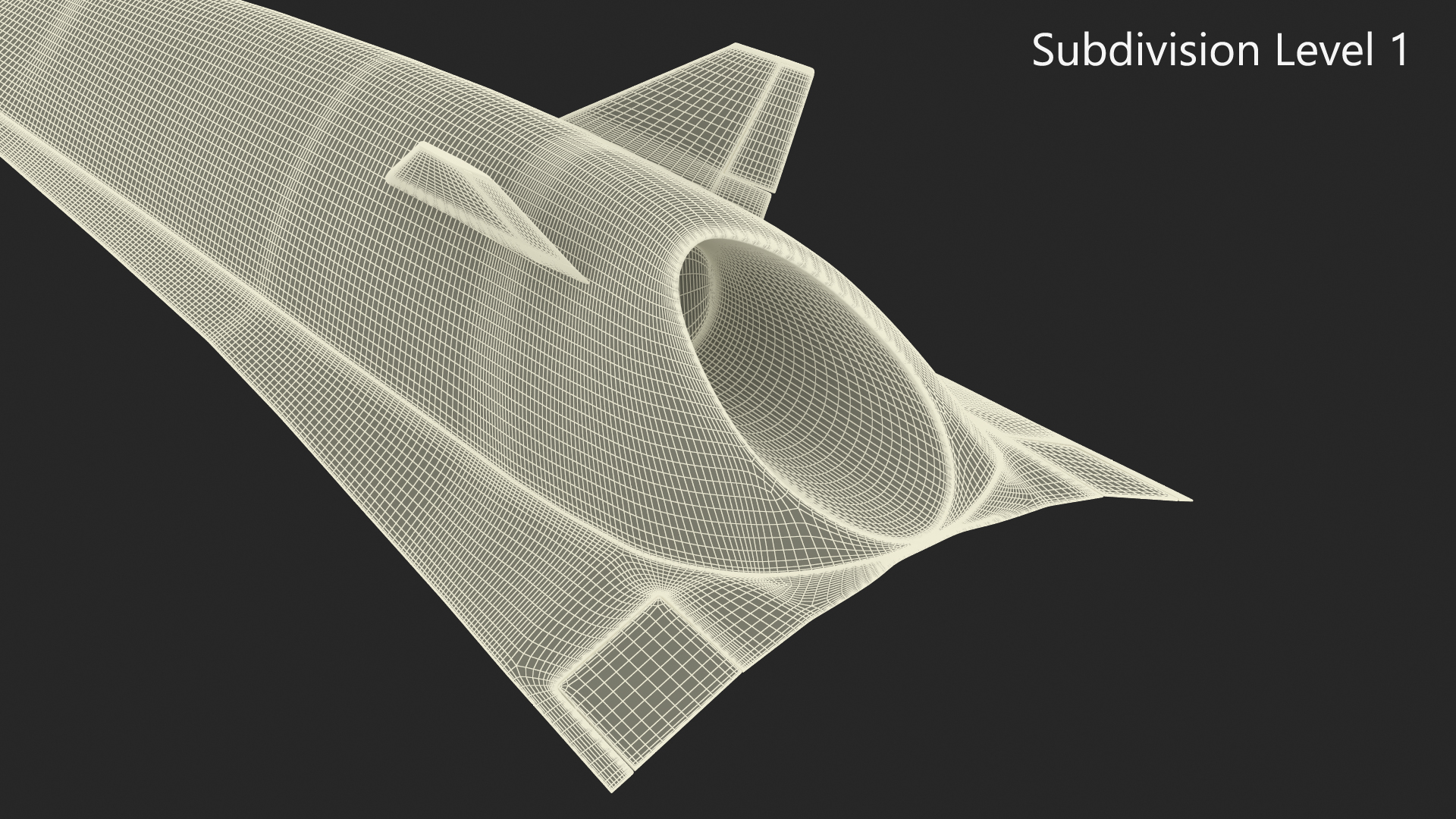 3D Hypersonic Plane Destinus S New Rigged model