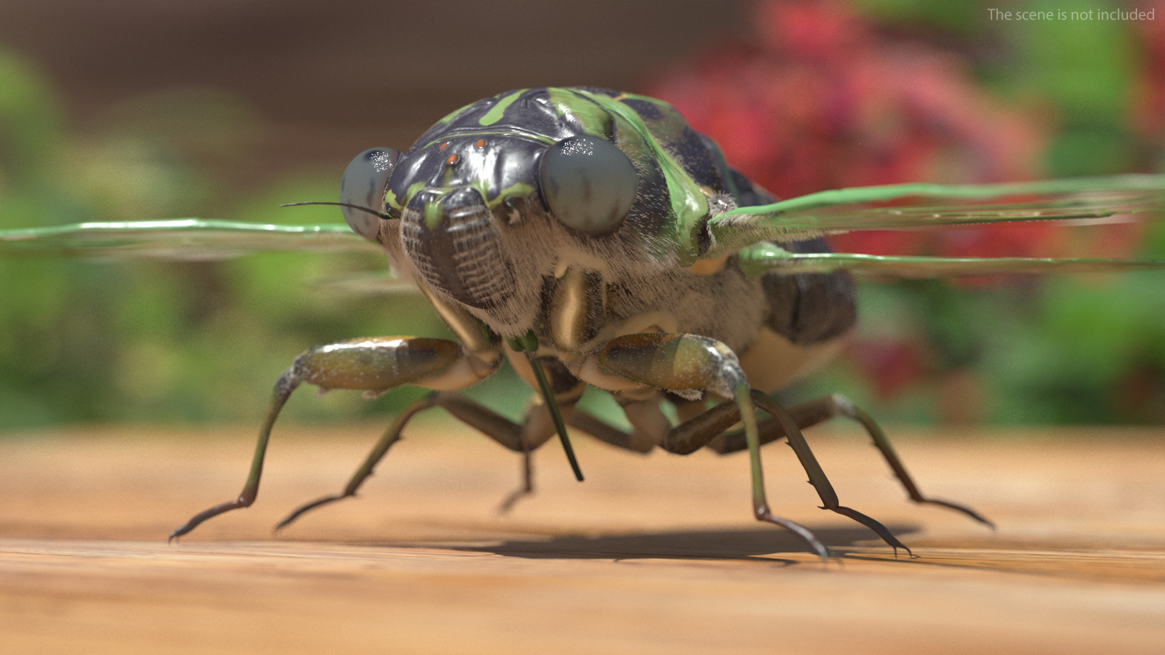 3D model Cicada Fur