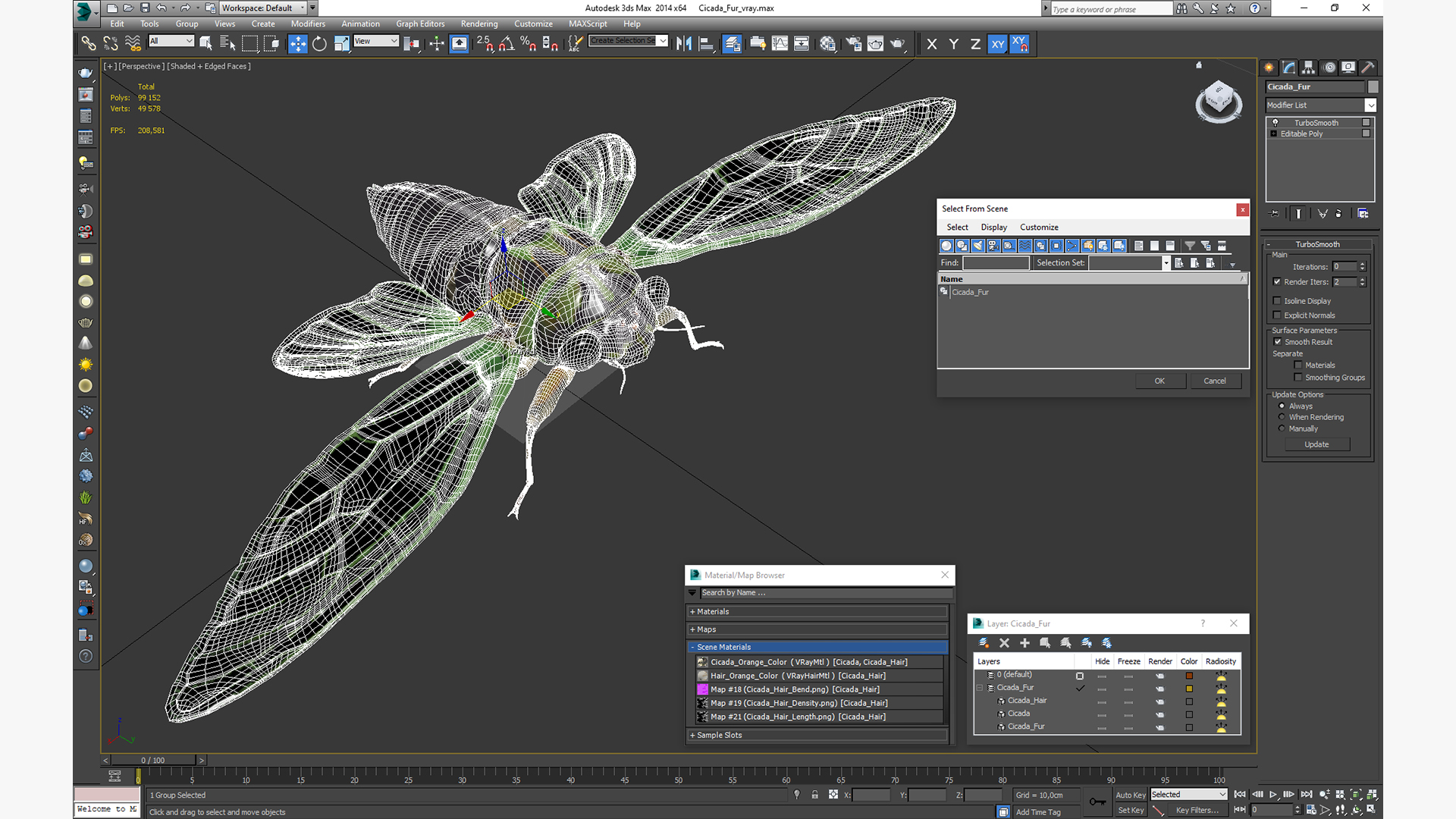 3D model Cicada Fur