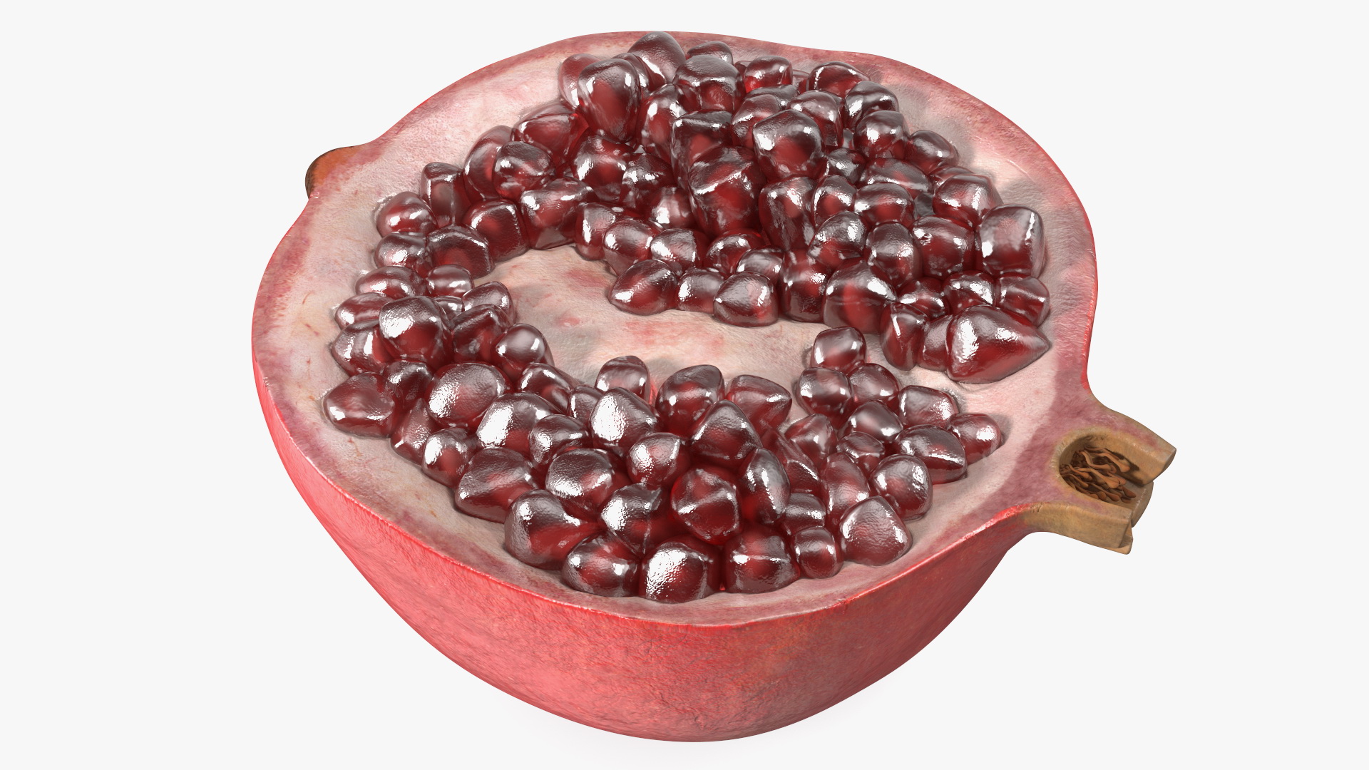 Cross Section Of Pomegranate Fruit 3D model