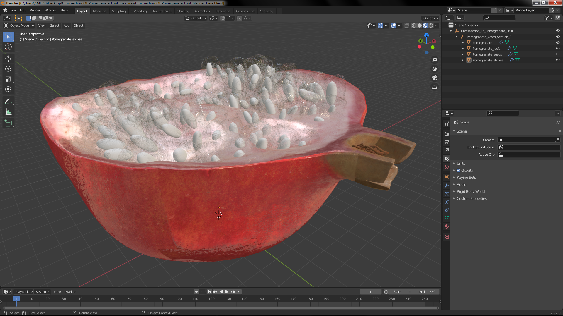 Cross Section Of Pomegranate Fruit 3D model