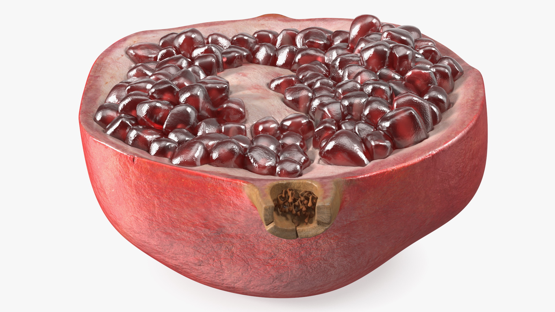 Cross Section Of Pomegranate Fruit 3D model