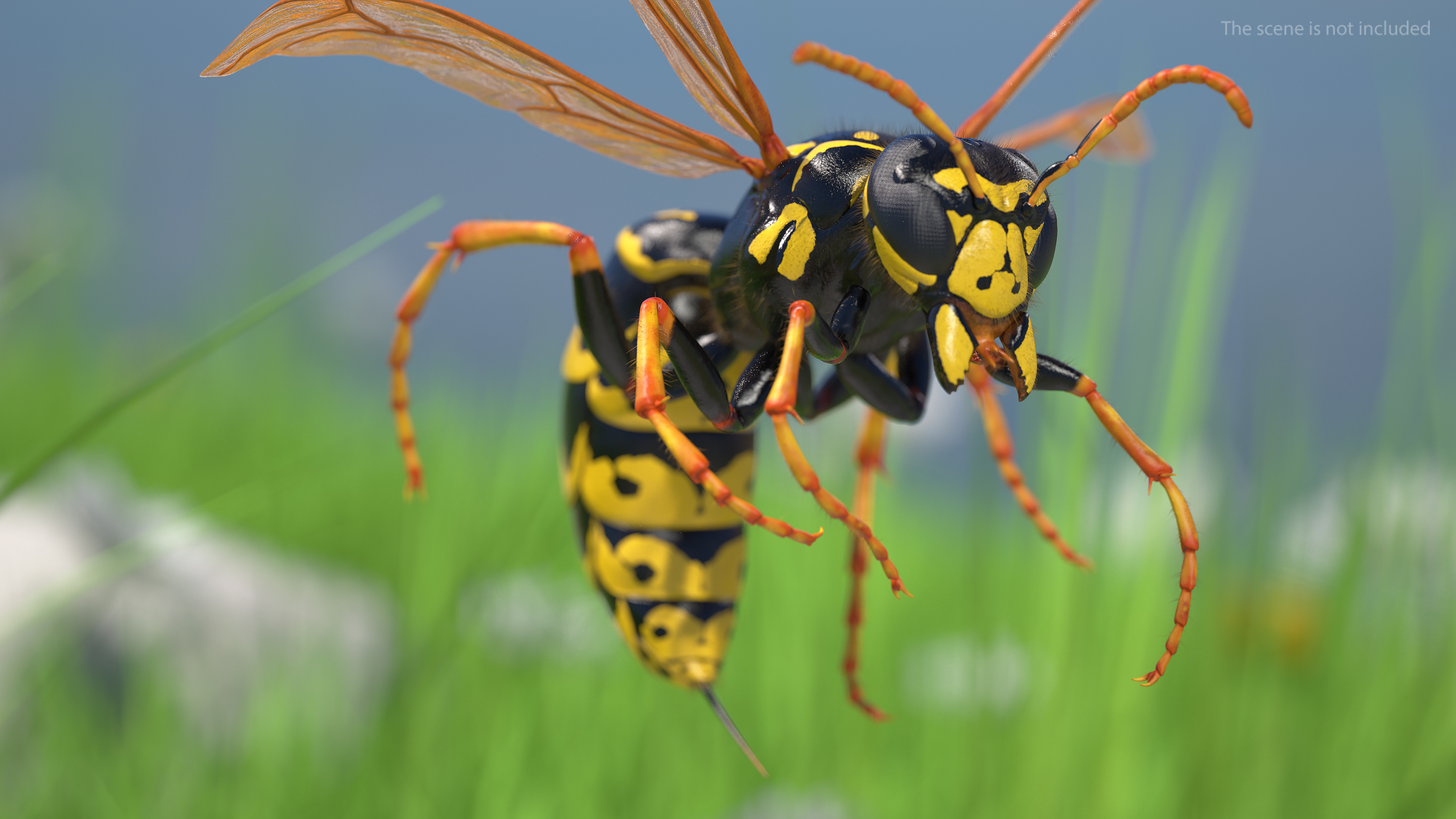 3D model Wasp Attack Pose Fur