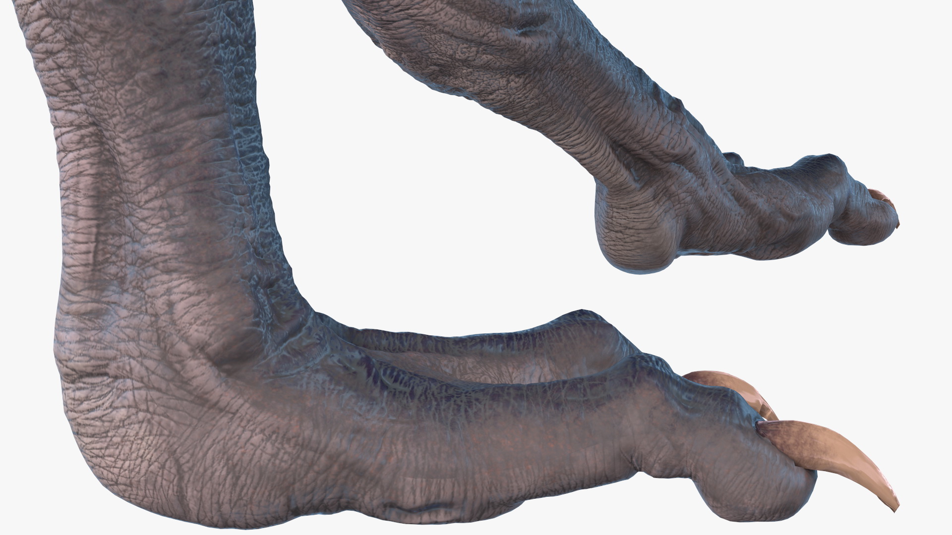 Monster Creature Walking Pose 3D model