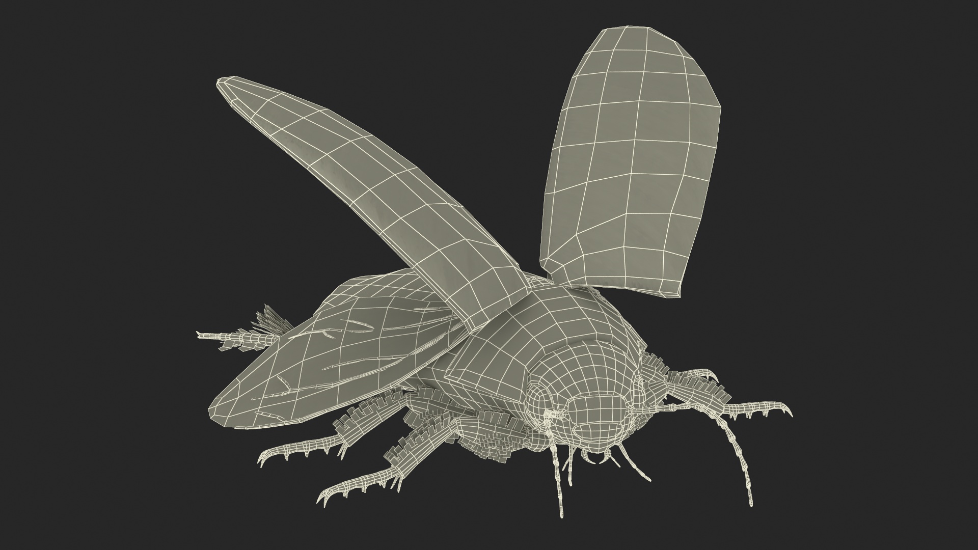 Screech Beetle Black Realistic Rigged 3D