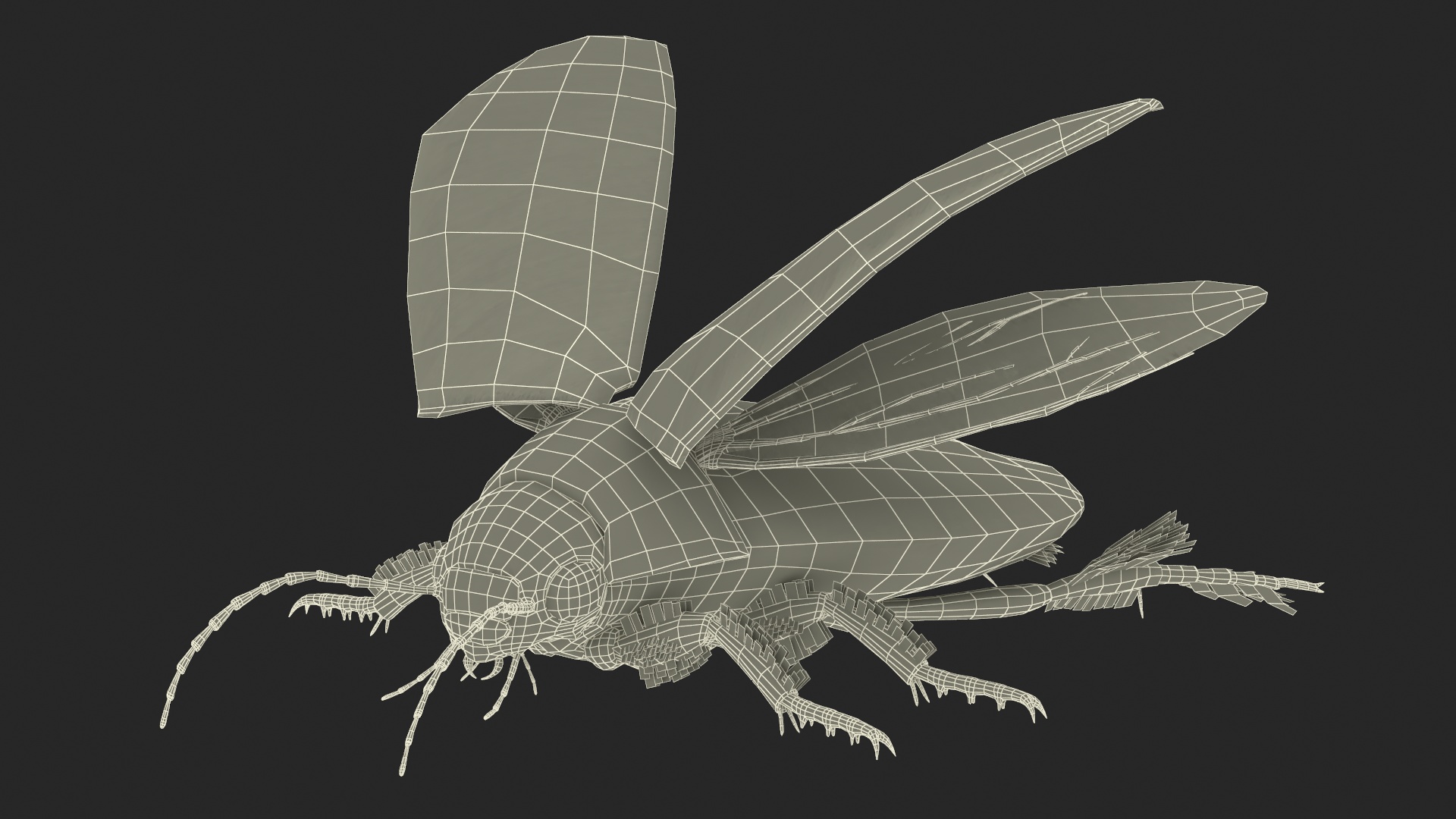 Screech Beetle Black Realistic Rigged 3D