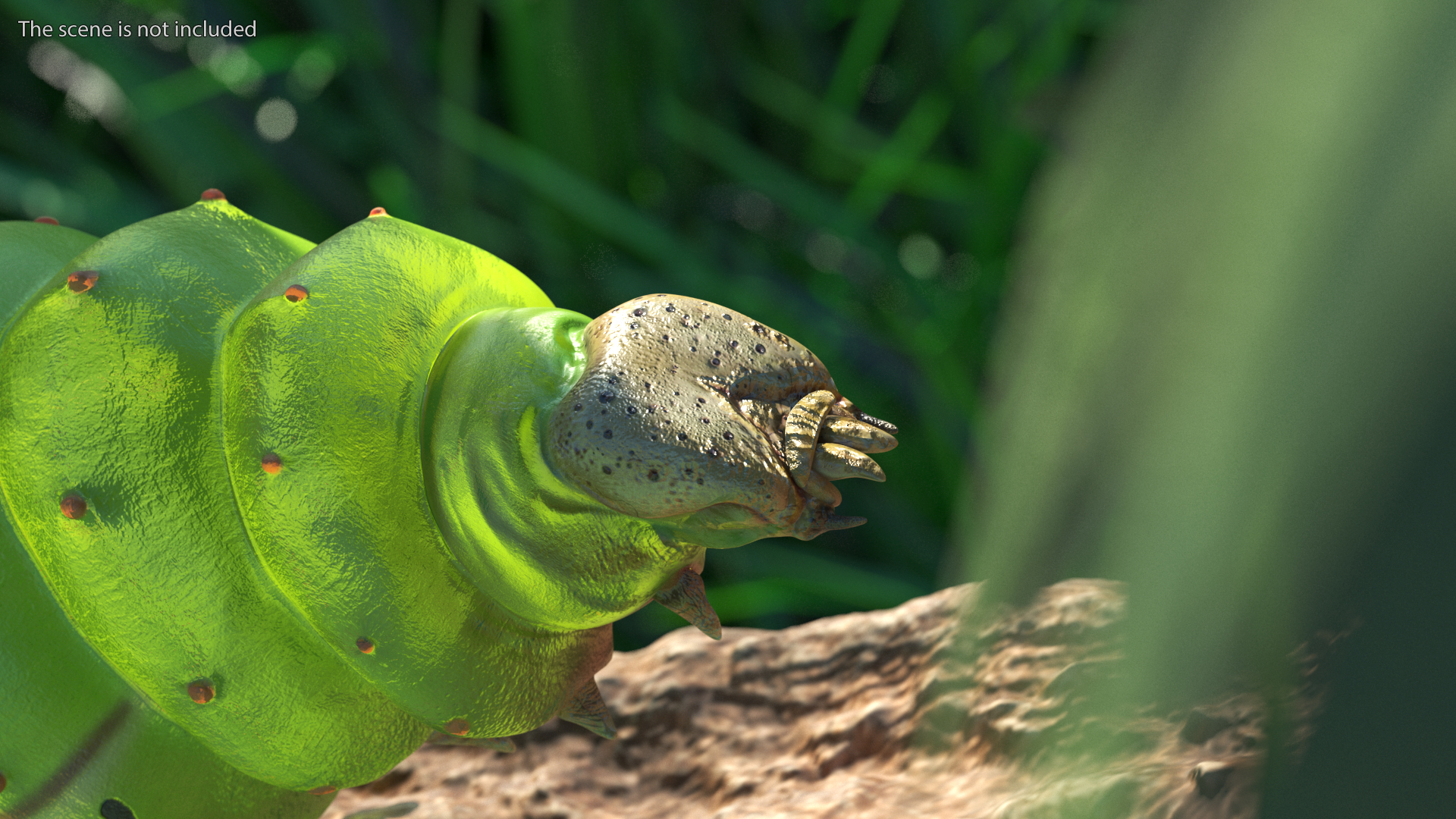 Silkworm Green 3D model