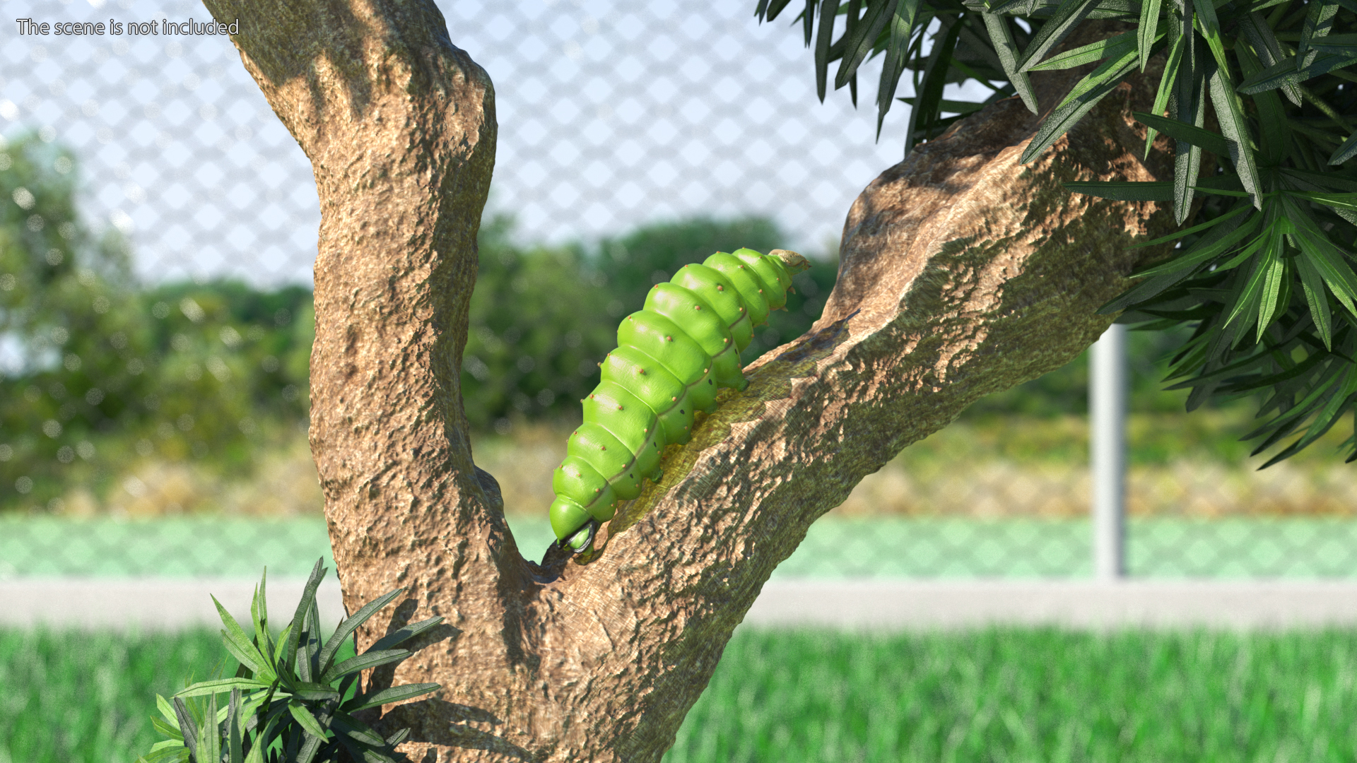 Silkworm Green 3D model