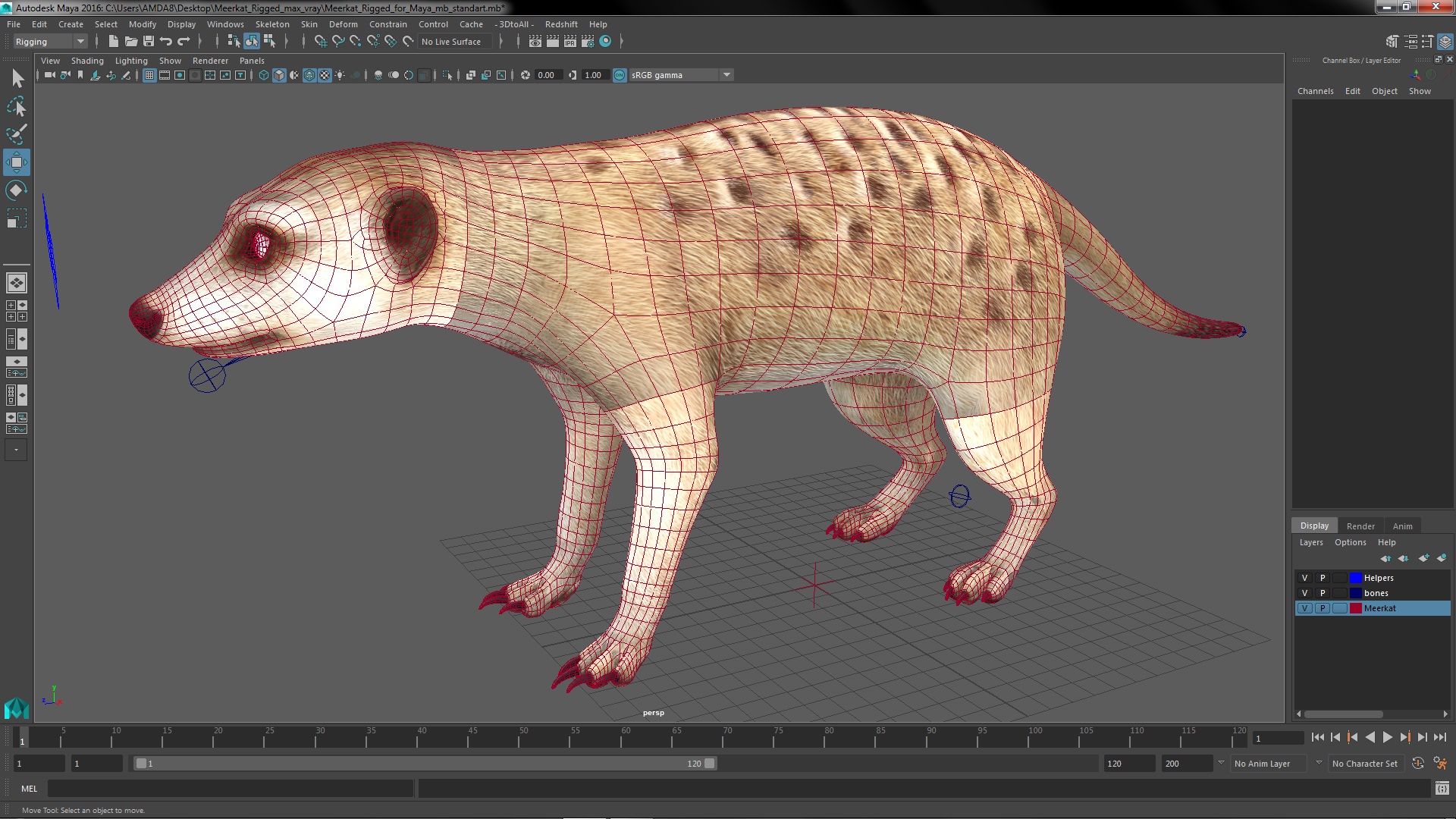 3D Meerkat Rigged for Maya model