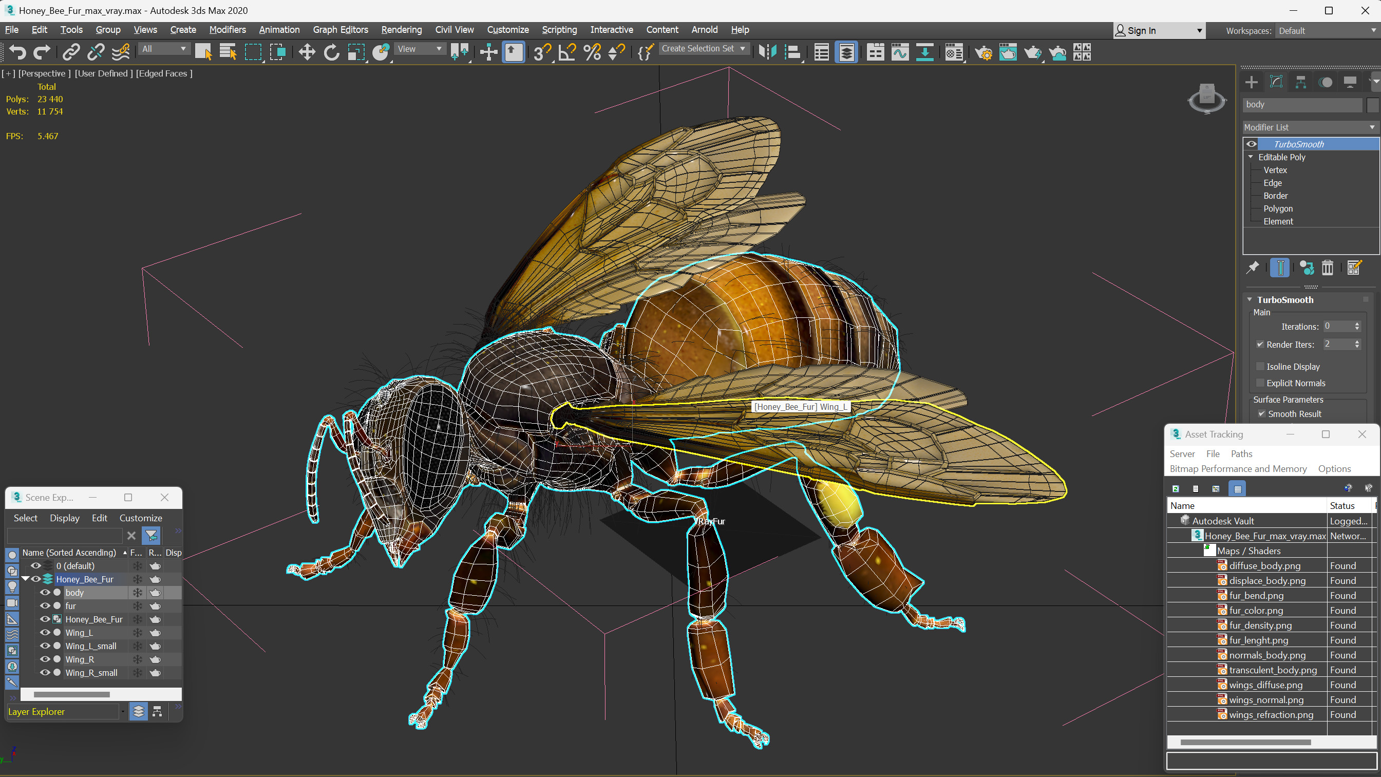 3D Honey Bee Fur model