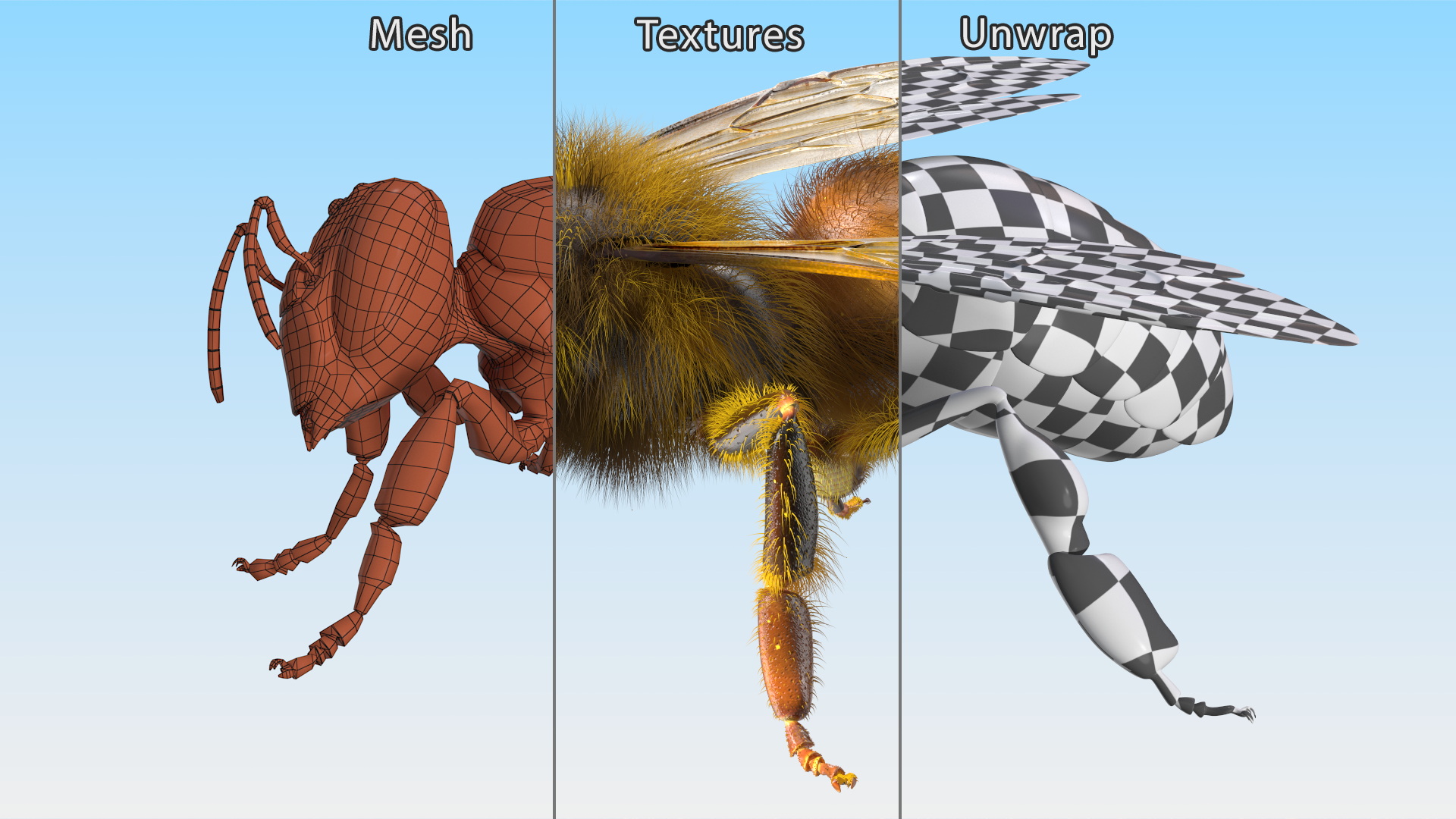 3D Honey Bee Fur model