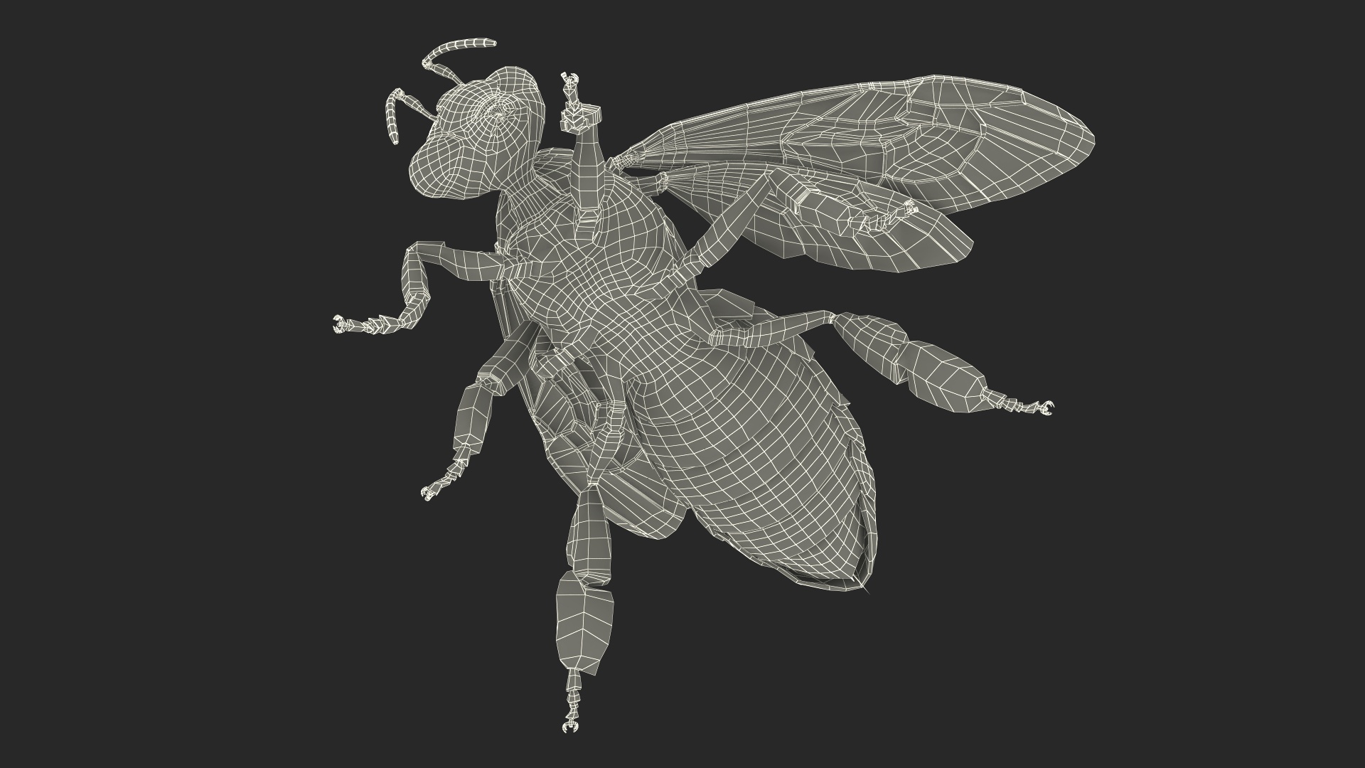 3D Honey Bee Fur model