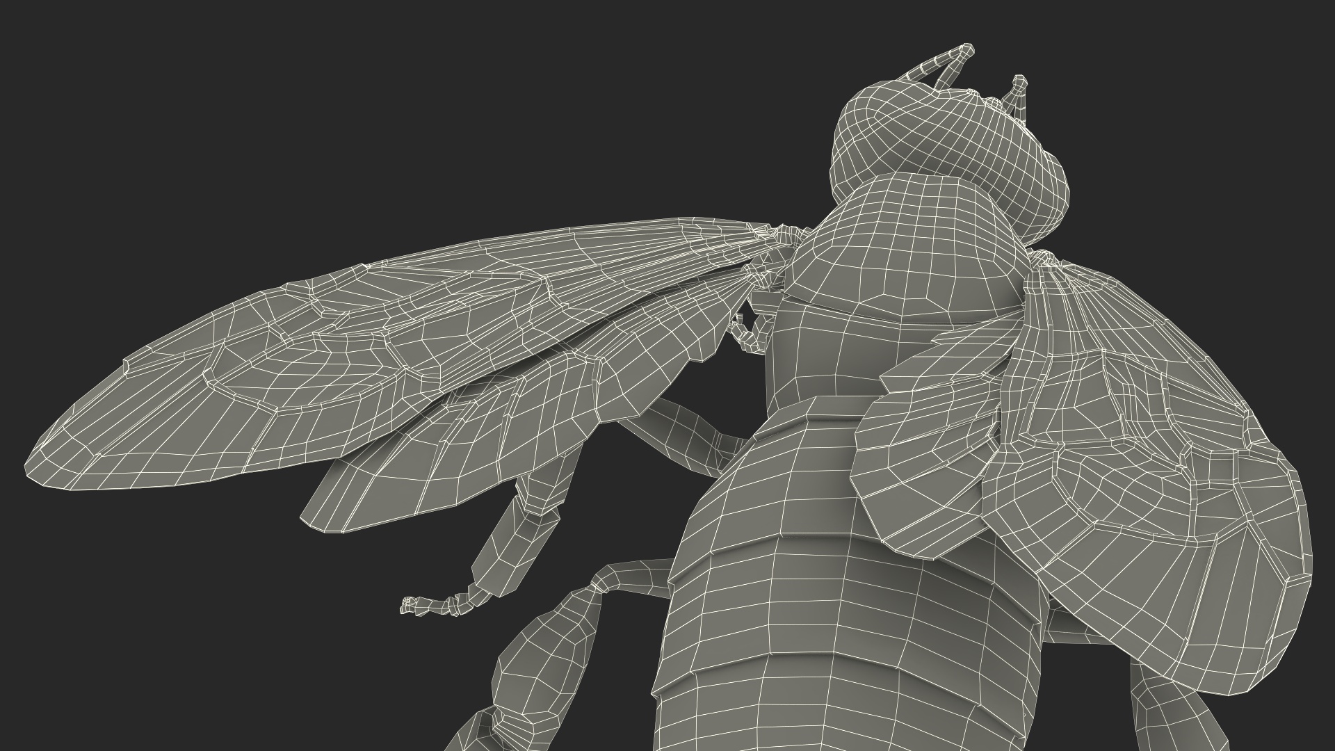 3D Honey Bee Fur model