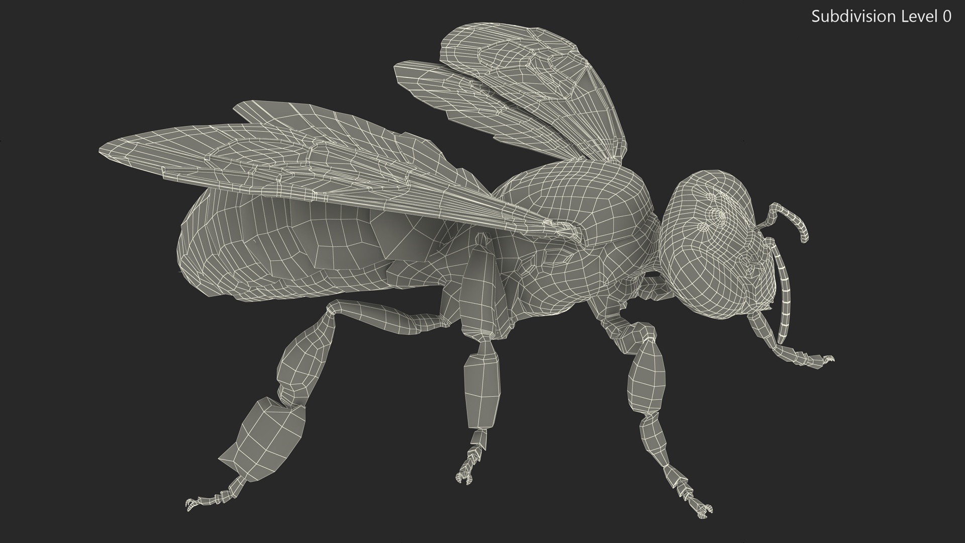 3D Honey Bee Fur model