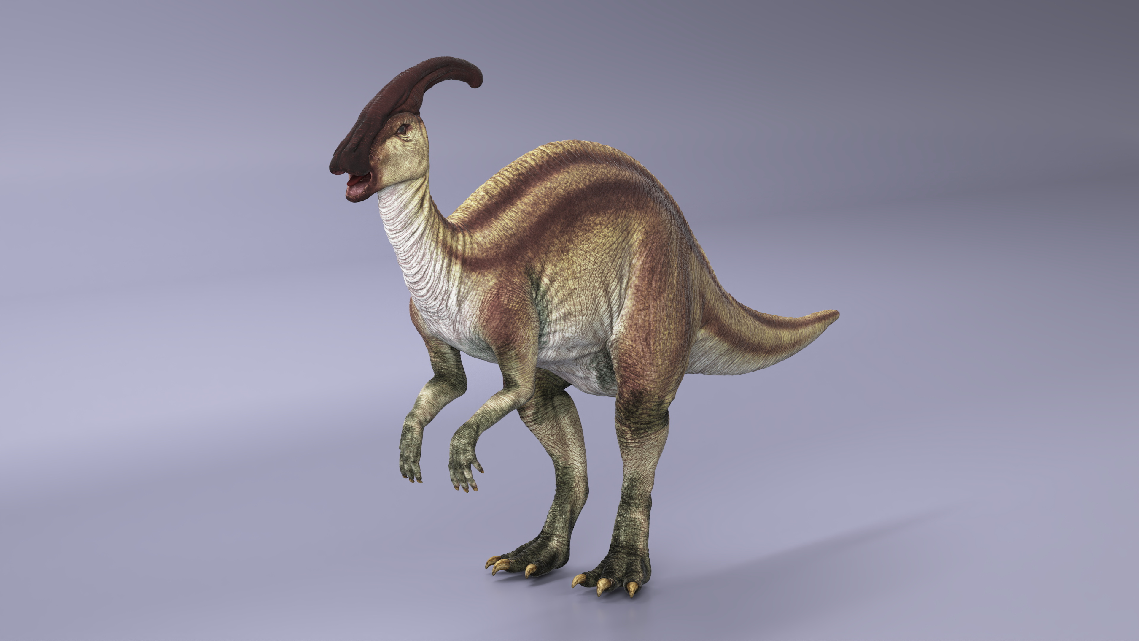 3D Parasaurolophus Dinosaur Rigged