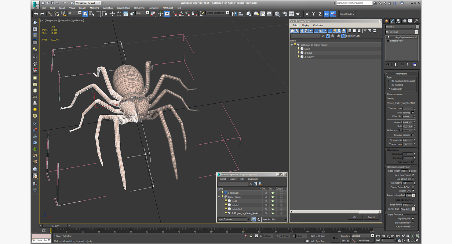 3D model Solifugae or Camel Spider