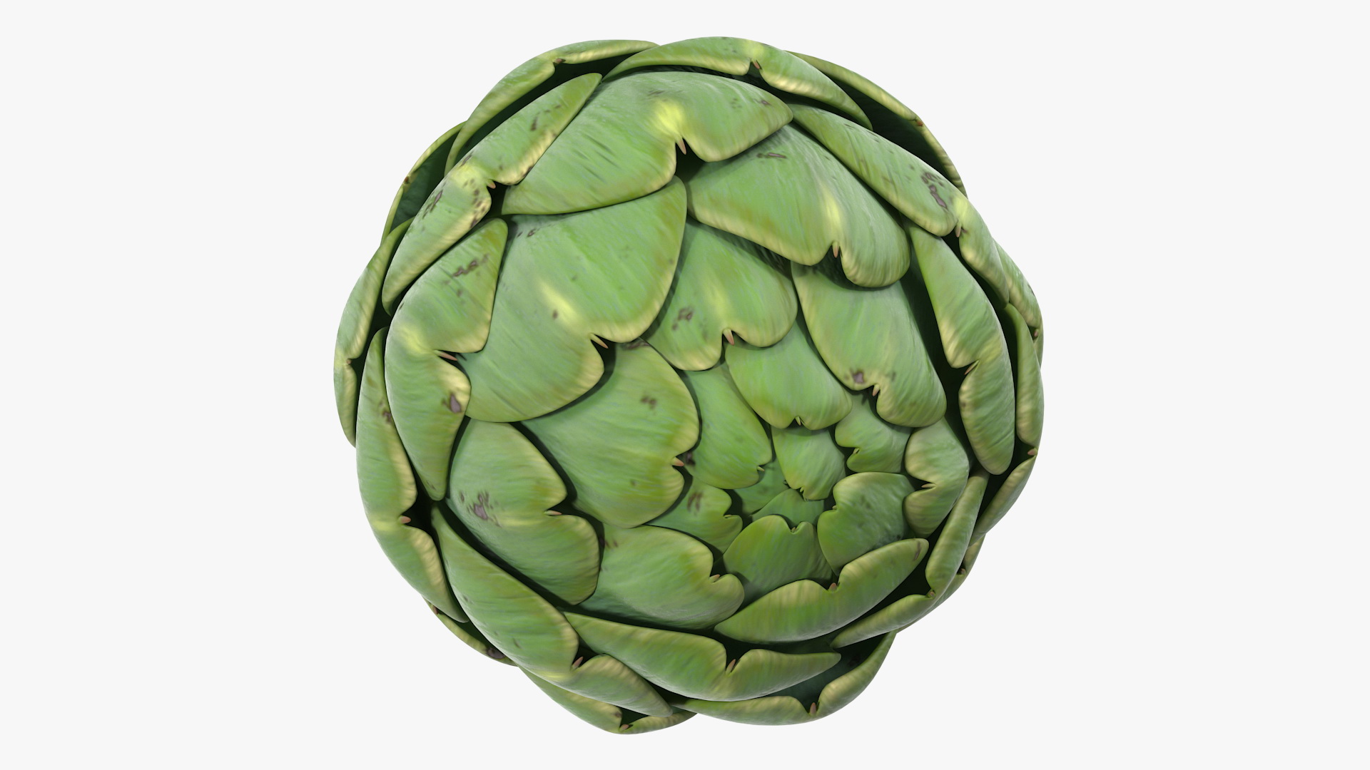 Artichoke 3D model