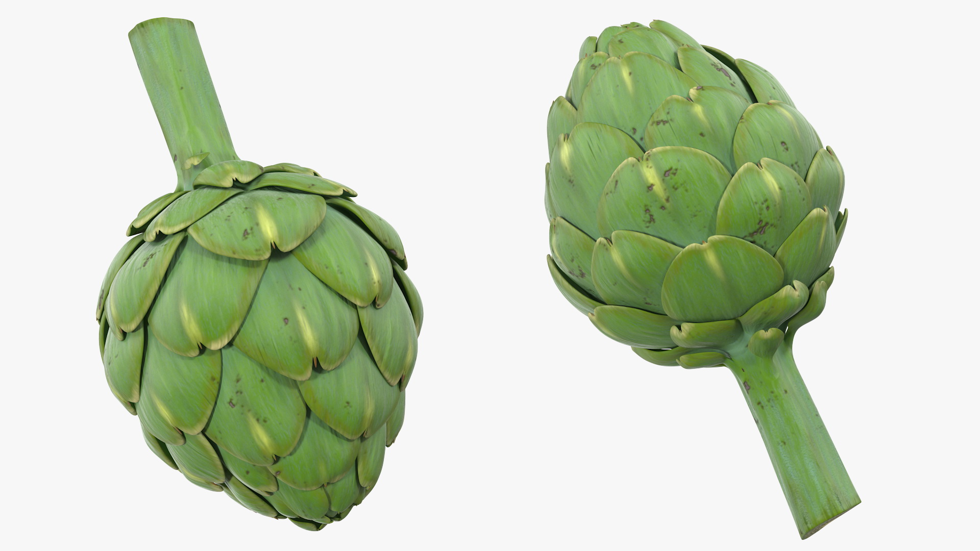 Artichoke 3D model