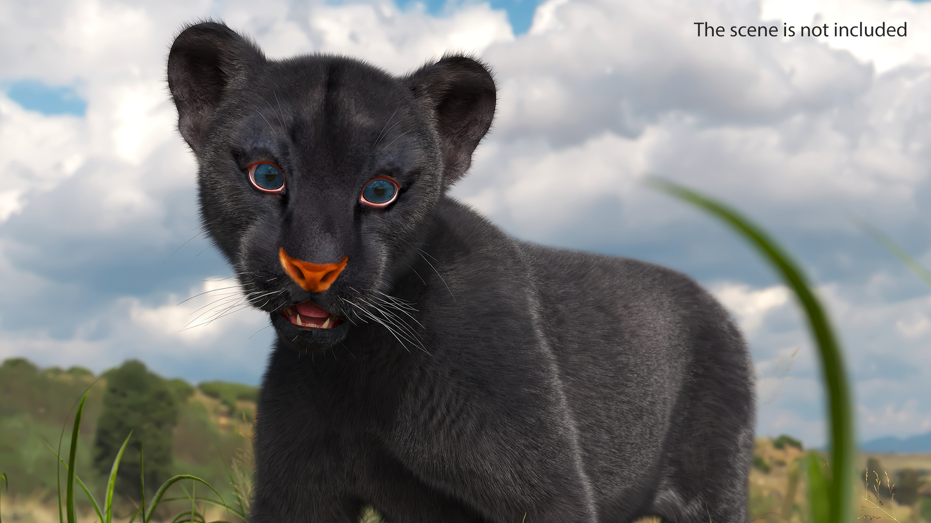 3D Baby Black Panther Cub Fur