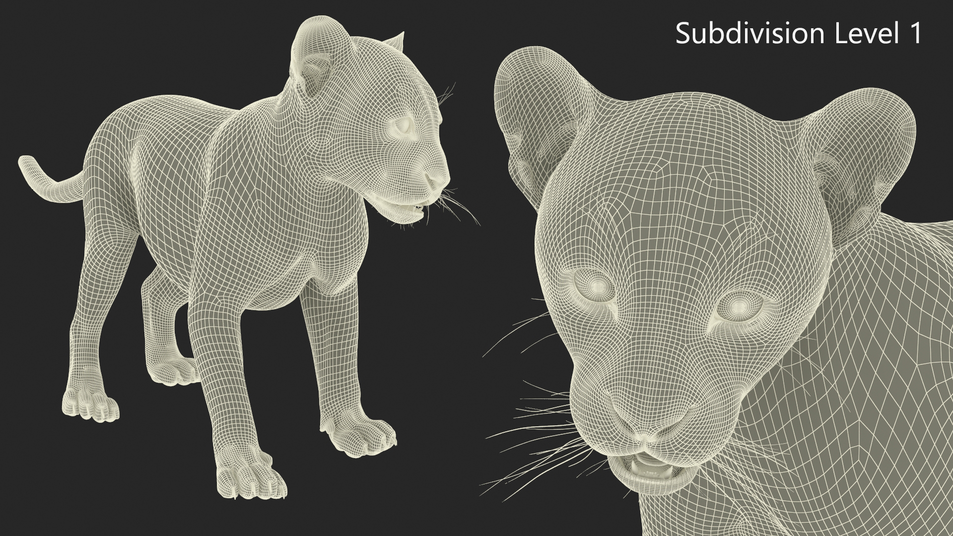 3D Baby Black Panther Cub Fur