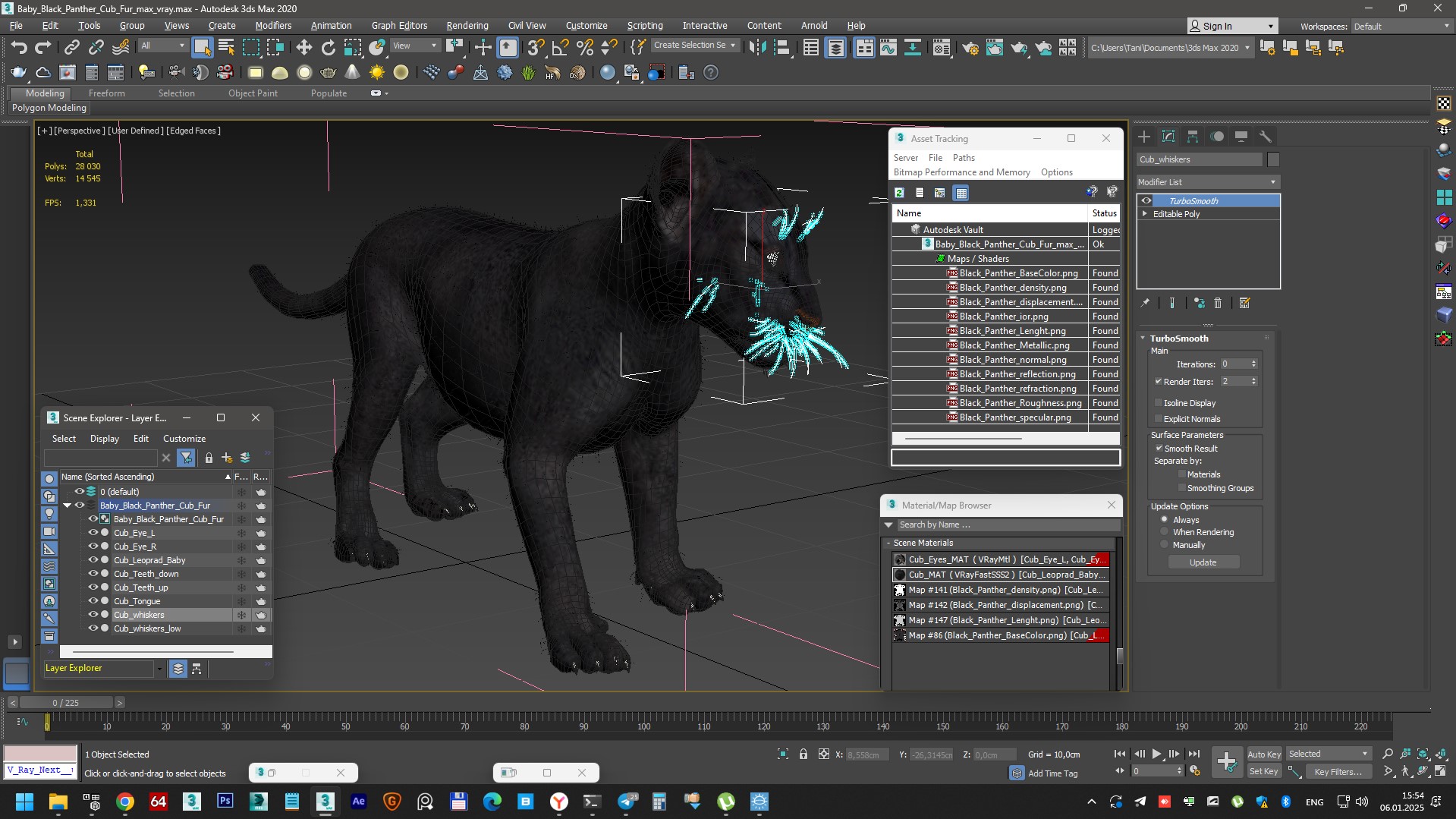 3D Baby Black Panther Cub Fur