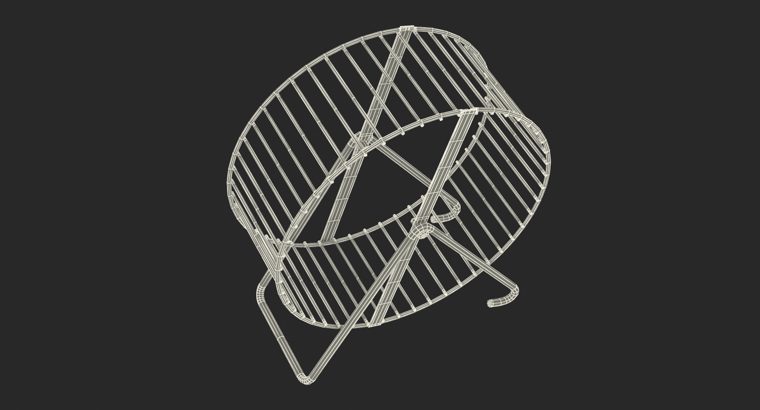 3D Hamster Wheel model