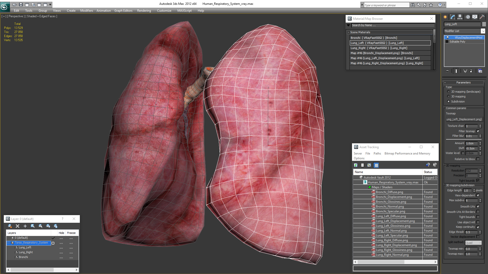 Human Respiratory System 3D model