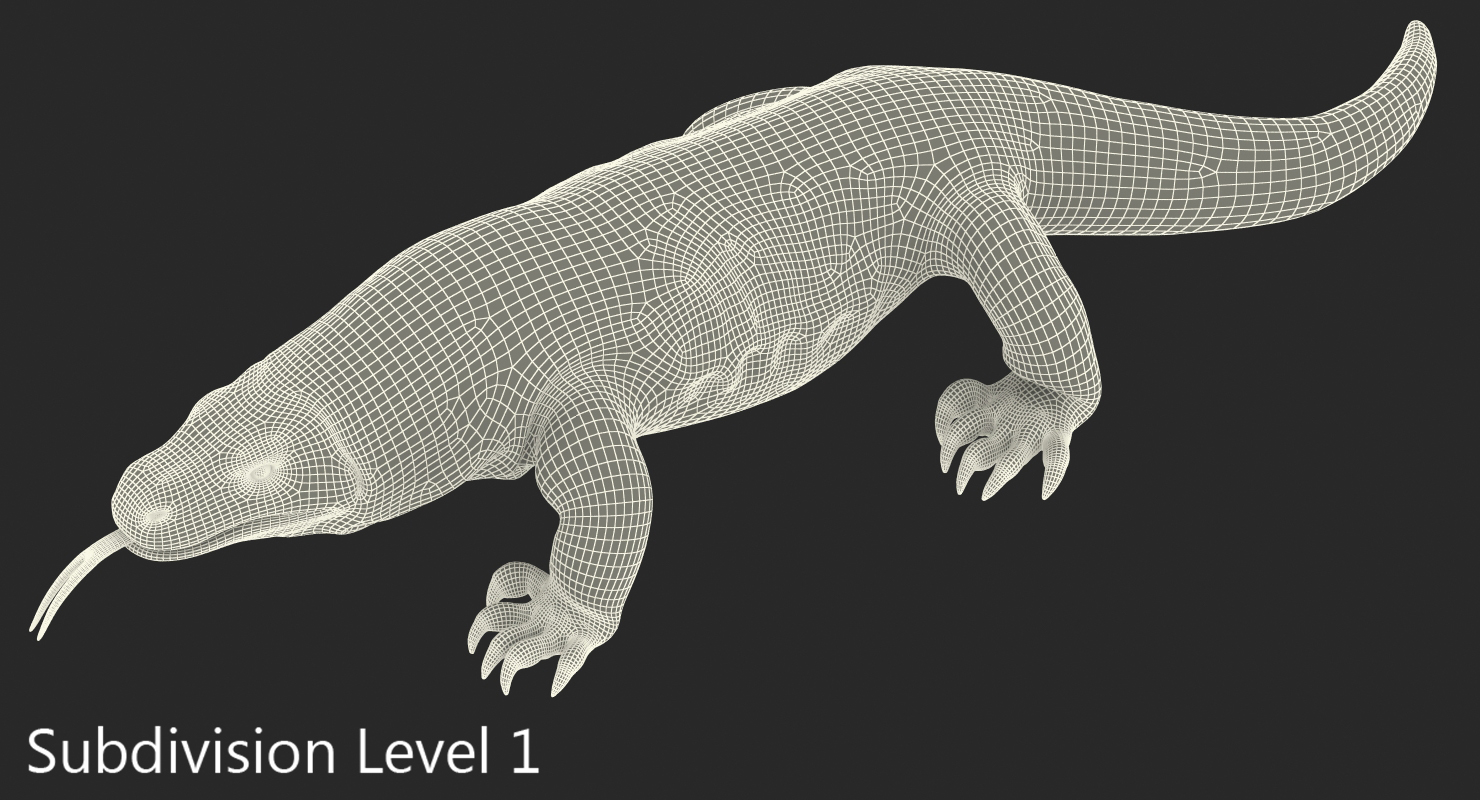 3D Komodo Dragon Walking Pose