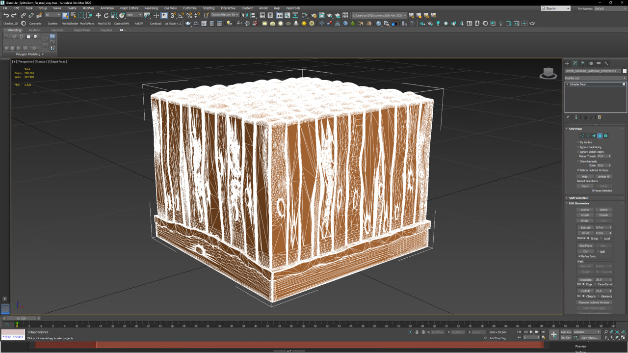 3D Glandular Epithelium for 3D Print model