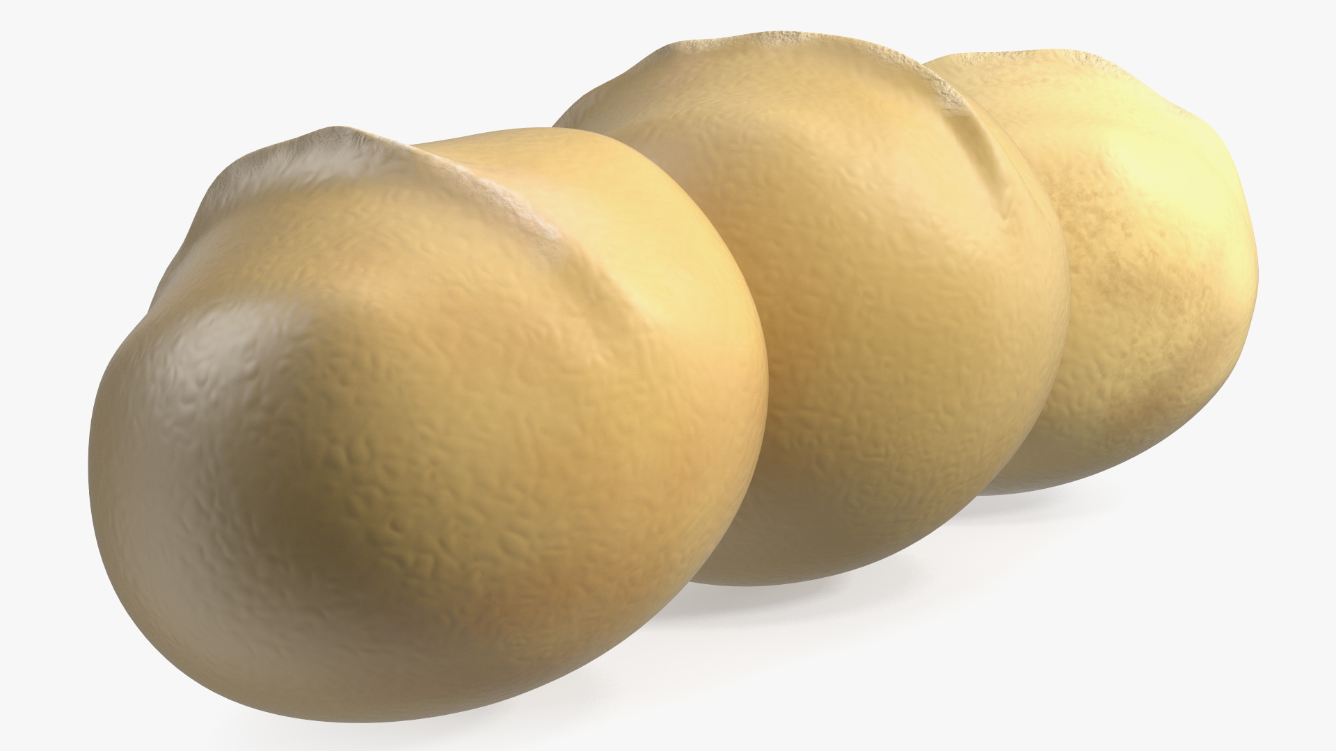 3D Peeled Macadamia Nuts