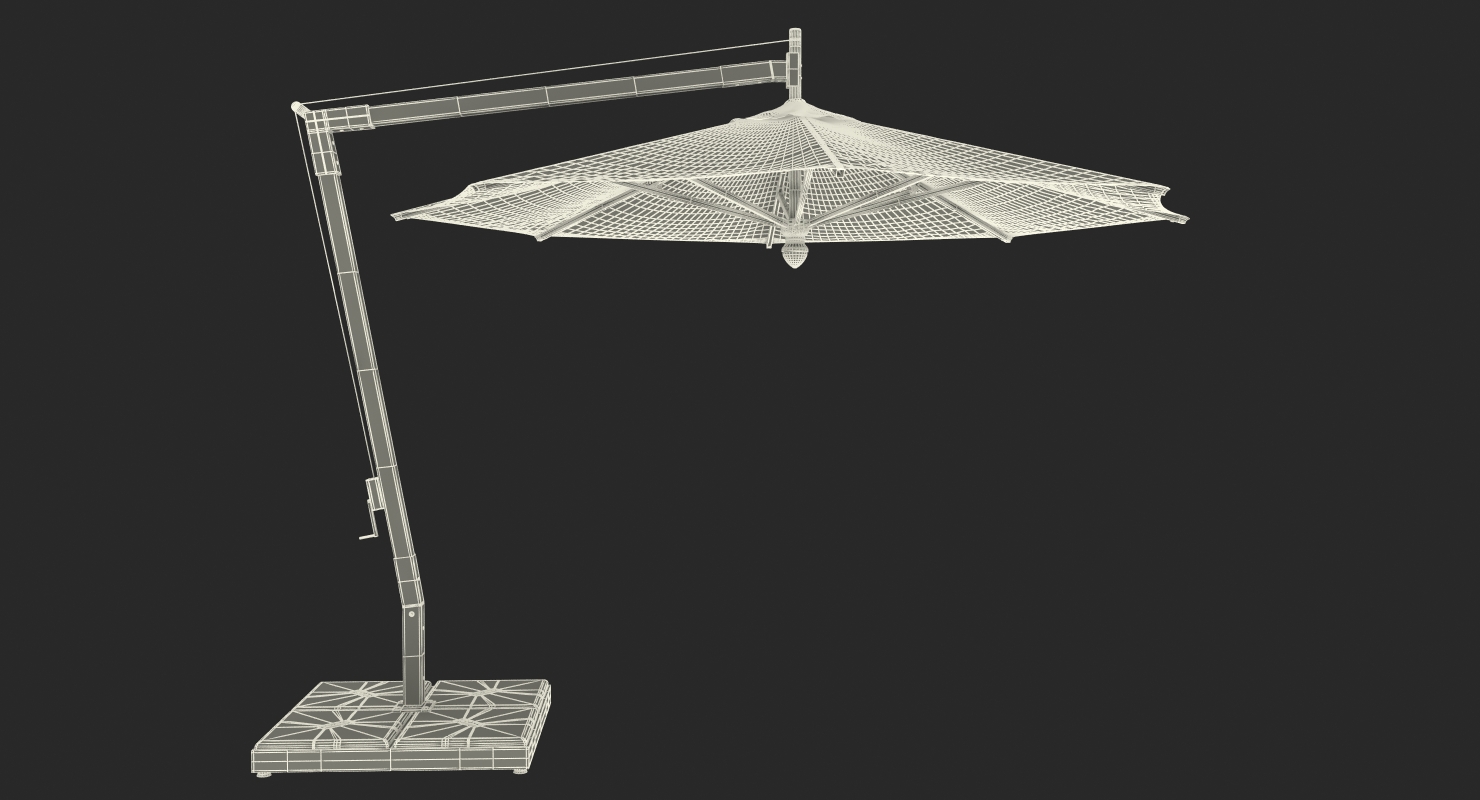 3D Offset Patio Umbrella