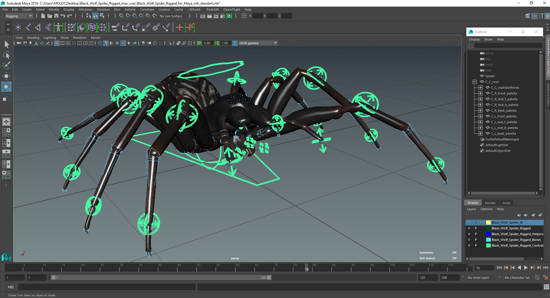 3D Black Wolf Spider Rigged for Maya model