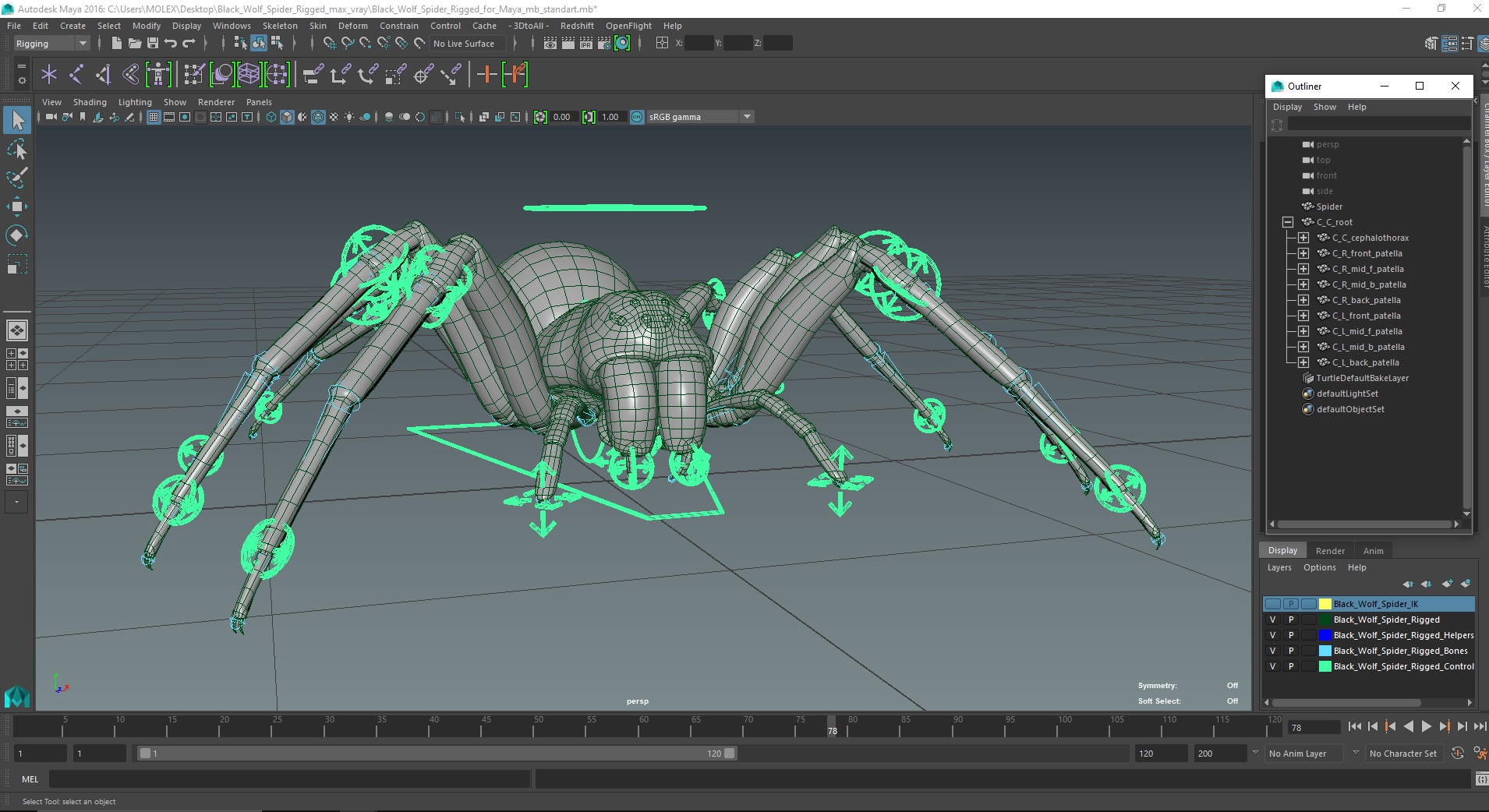 3D Black Wolf Spider Rigged for Maya model