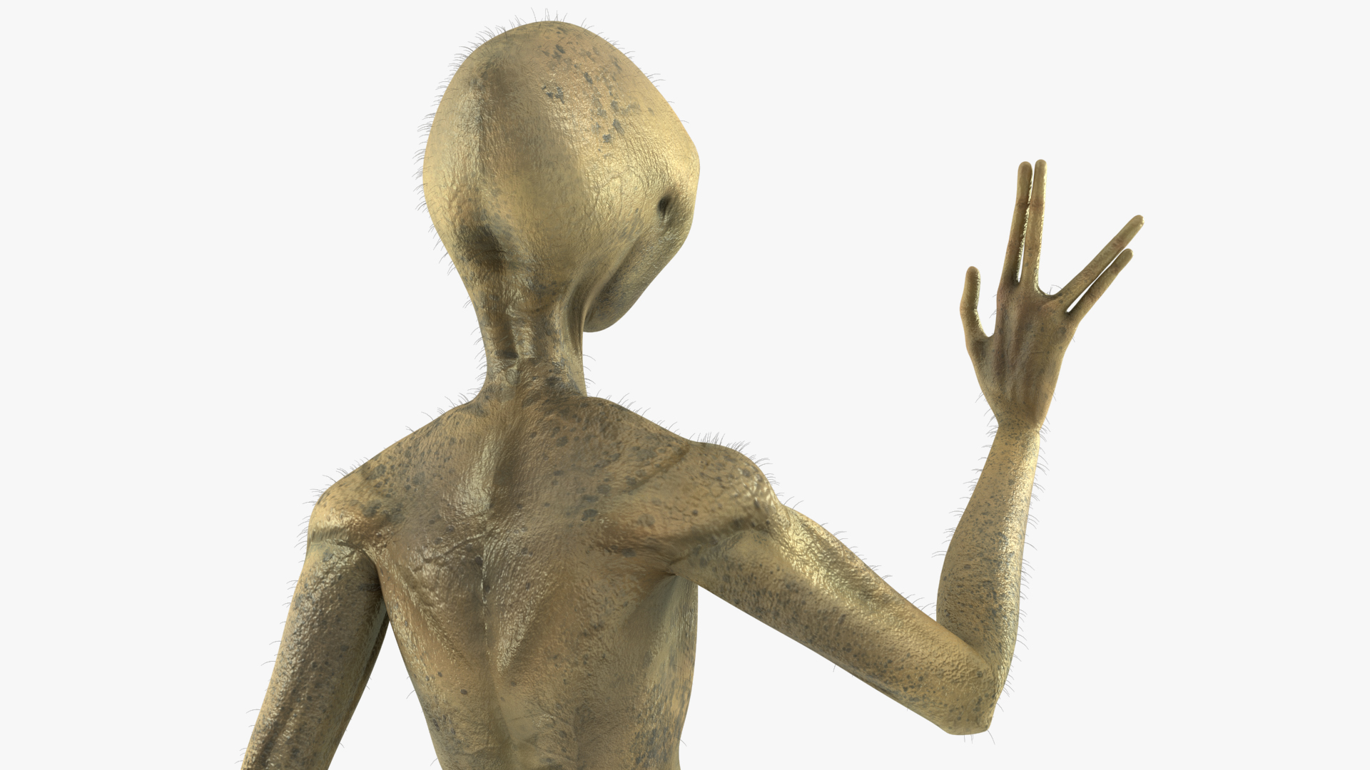 Humanoid Alien Creature Fur Rigged 3D model